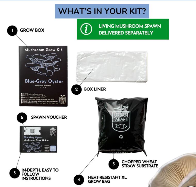 OYSTER MUSHROOM GROWING KIT FULL SET
