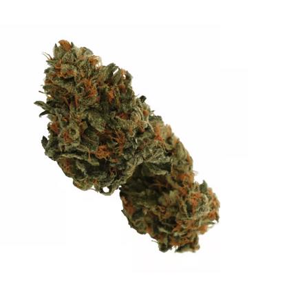 Gorilla Glue
