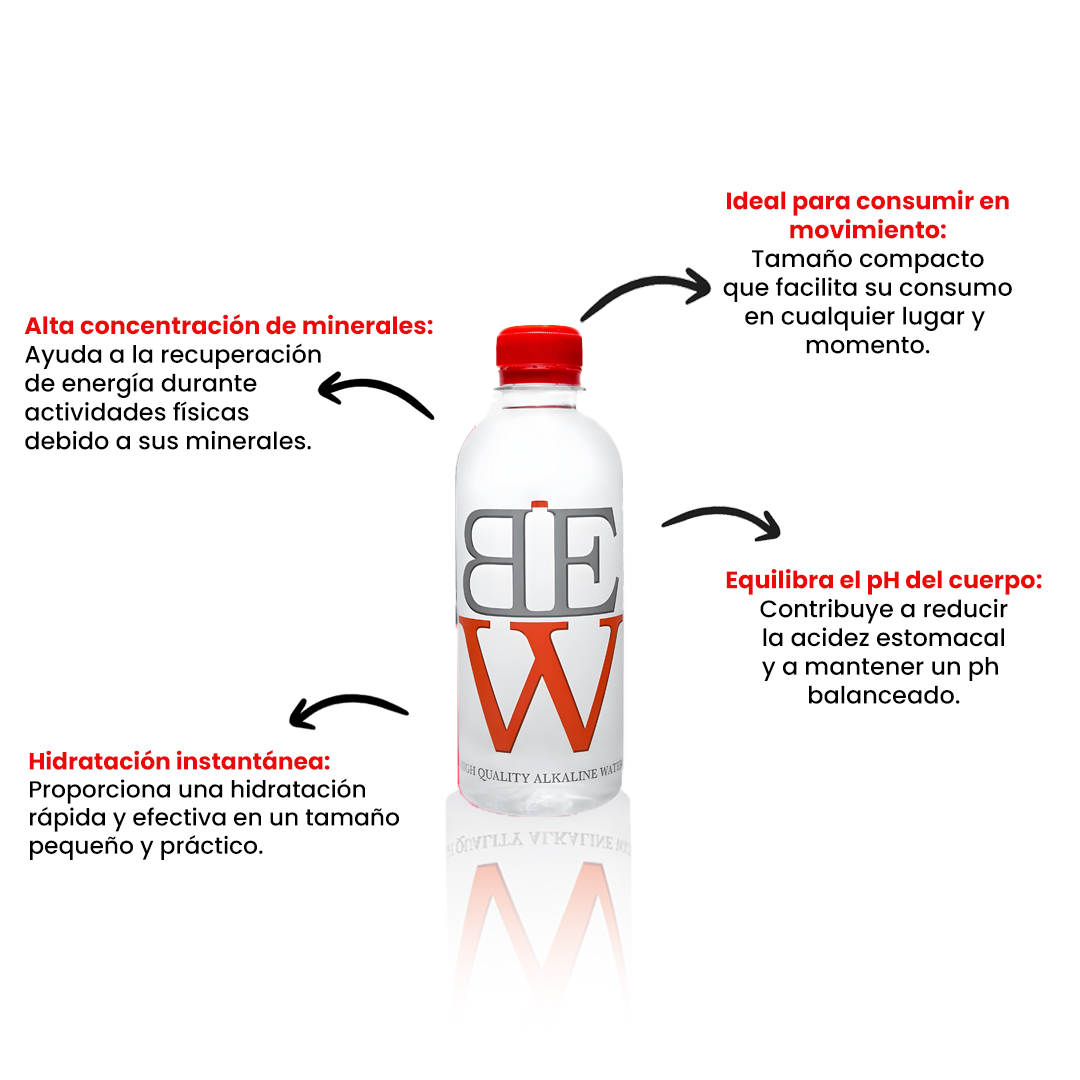 Caja - Botella 330 ml