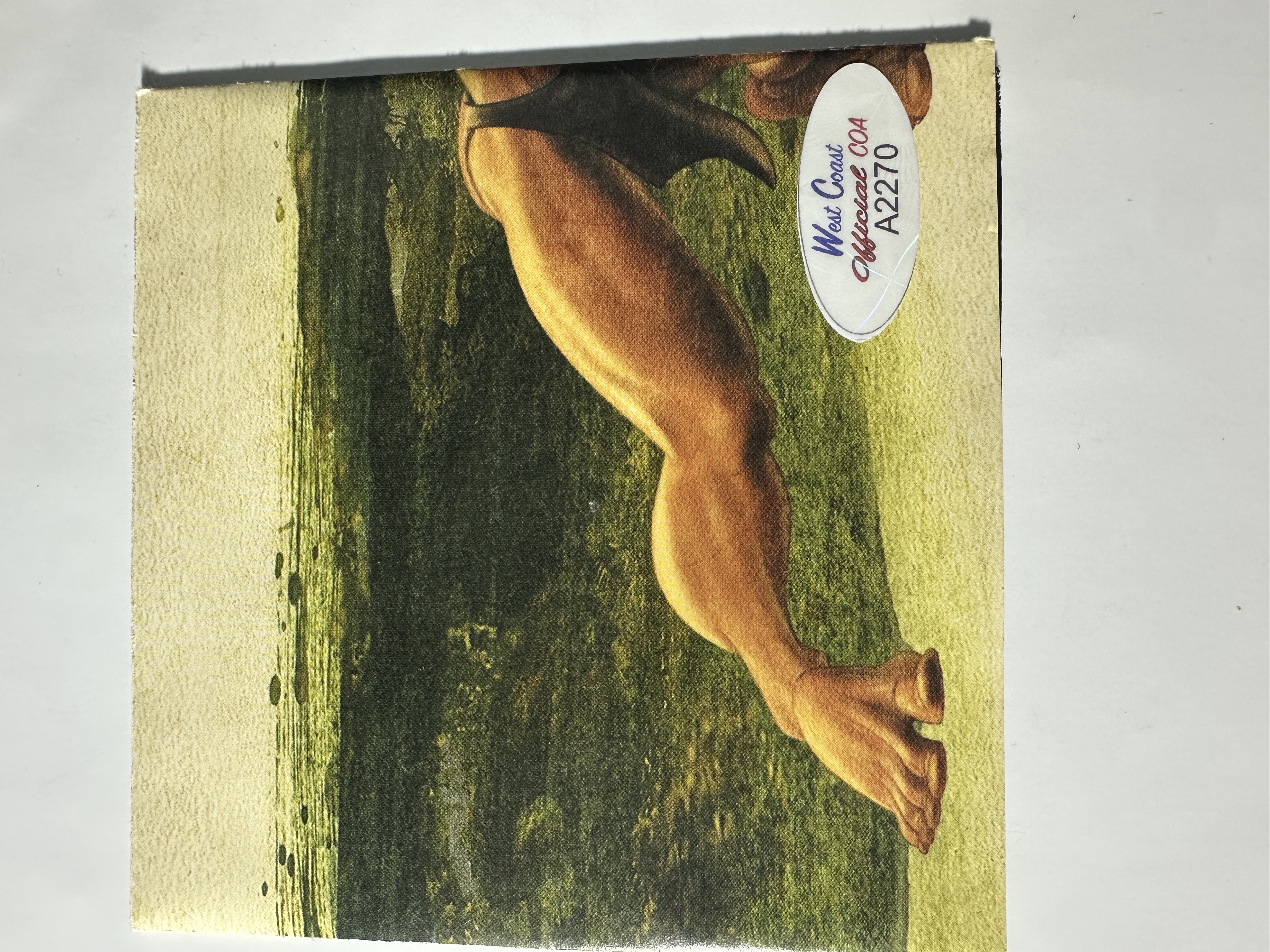 A2270 Disney Tarzan soundtrack signed, autograph CD booklet signed by Phil Collins