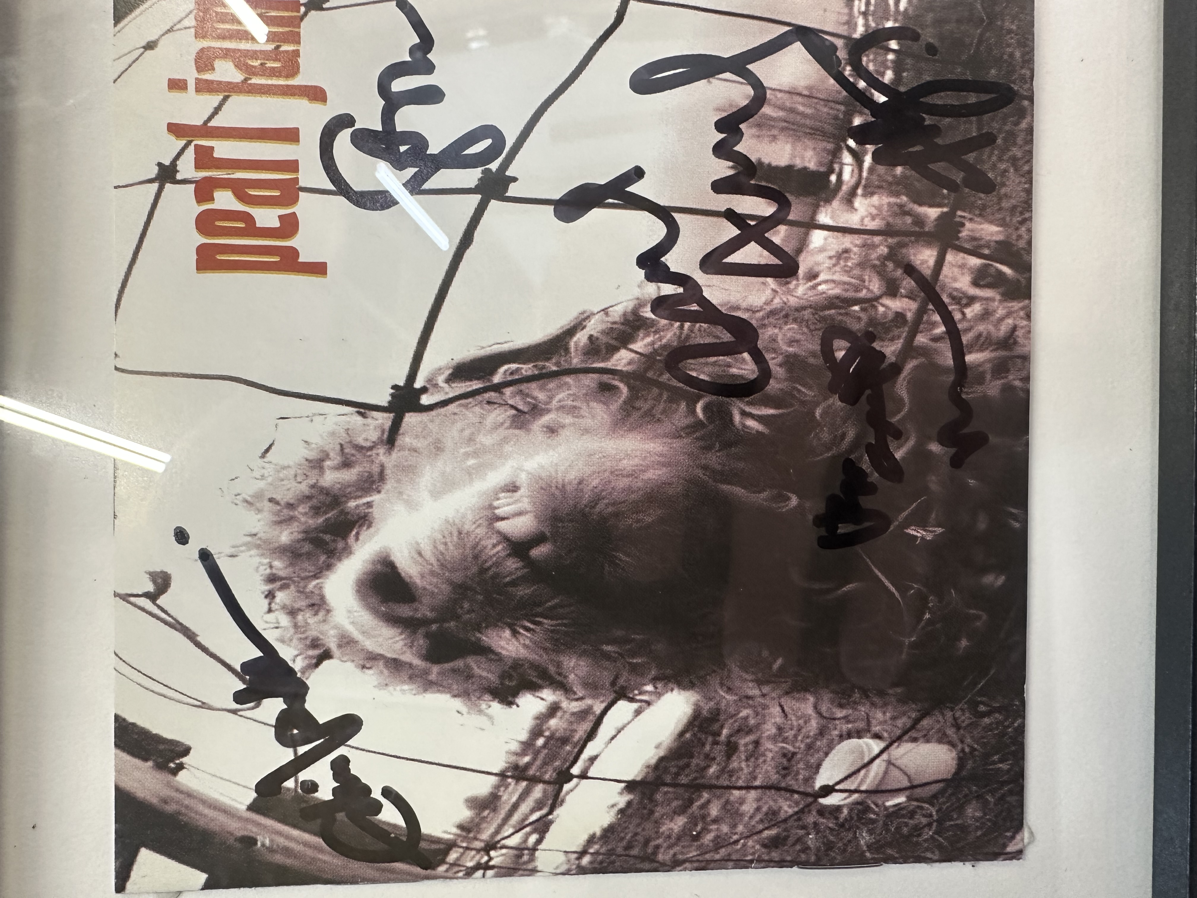 B112382 Pearl Jam signed framed CD 
