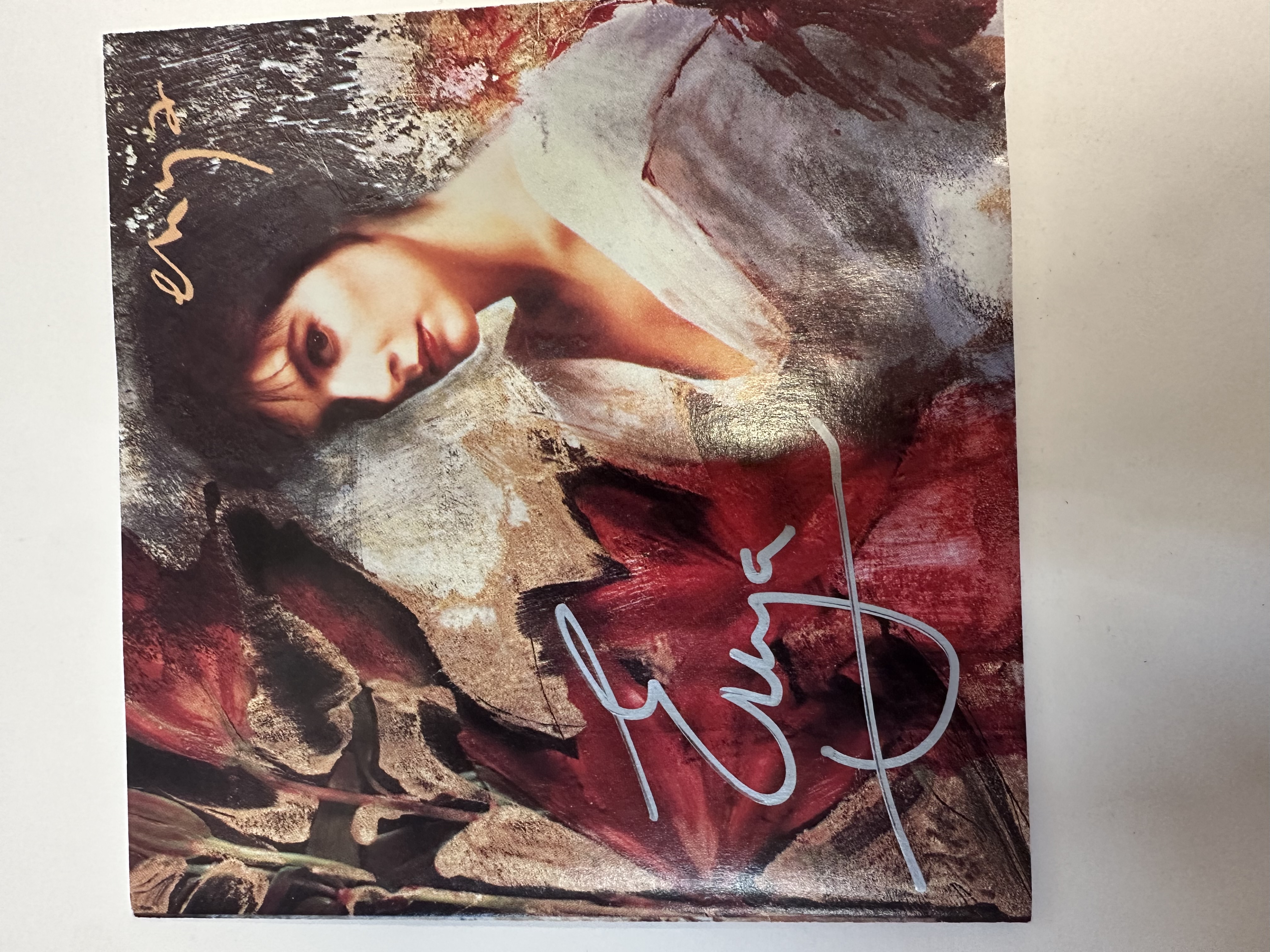 b112471 Enya watermark CD booklet