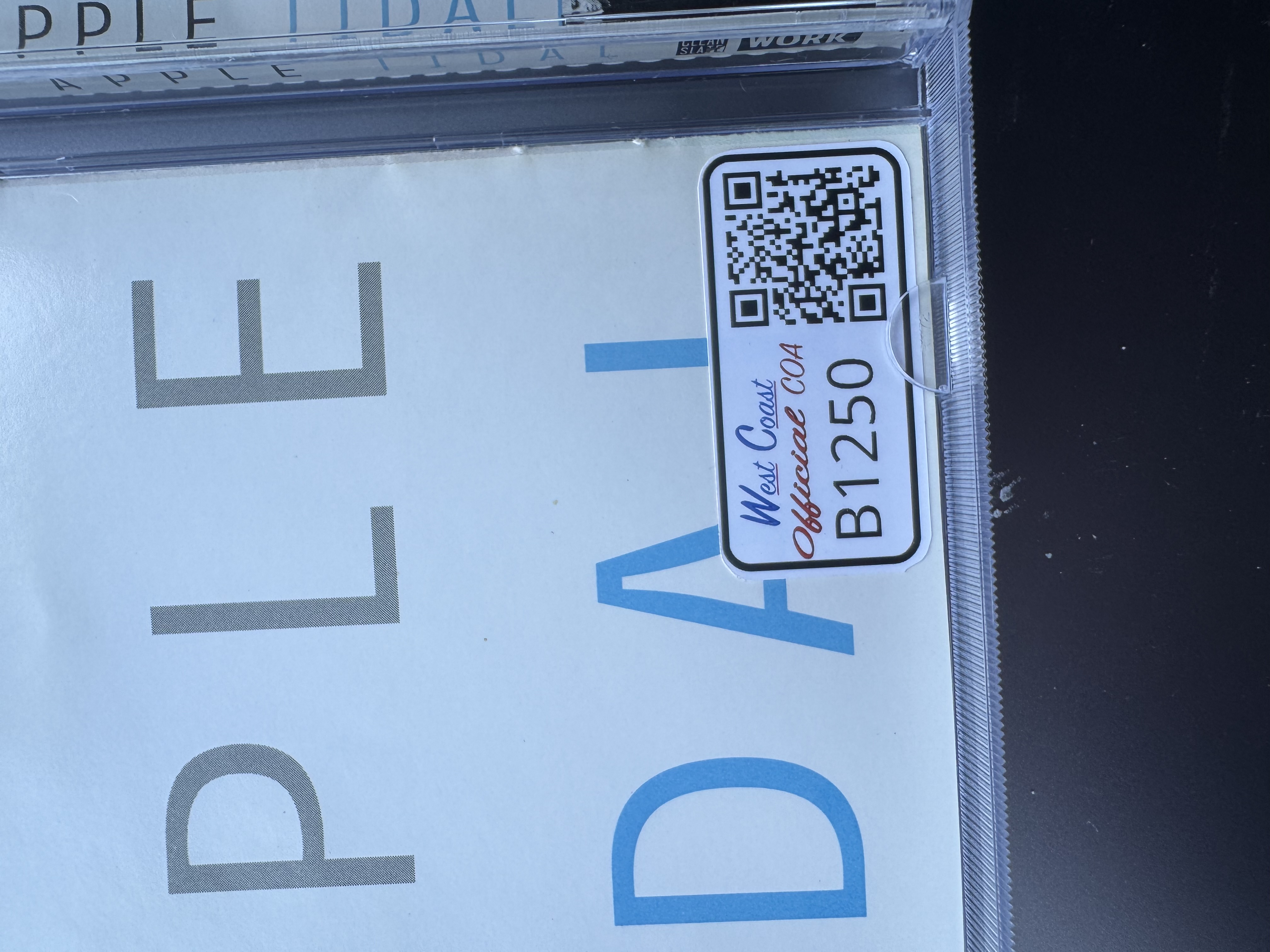 B1250 Fiona Apple Tidal signed CD booklet 