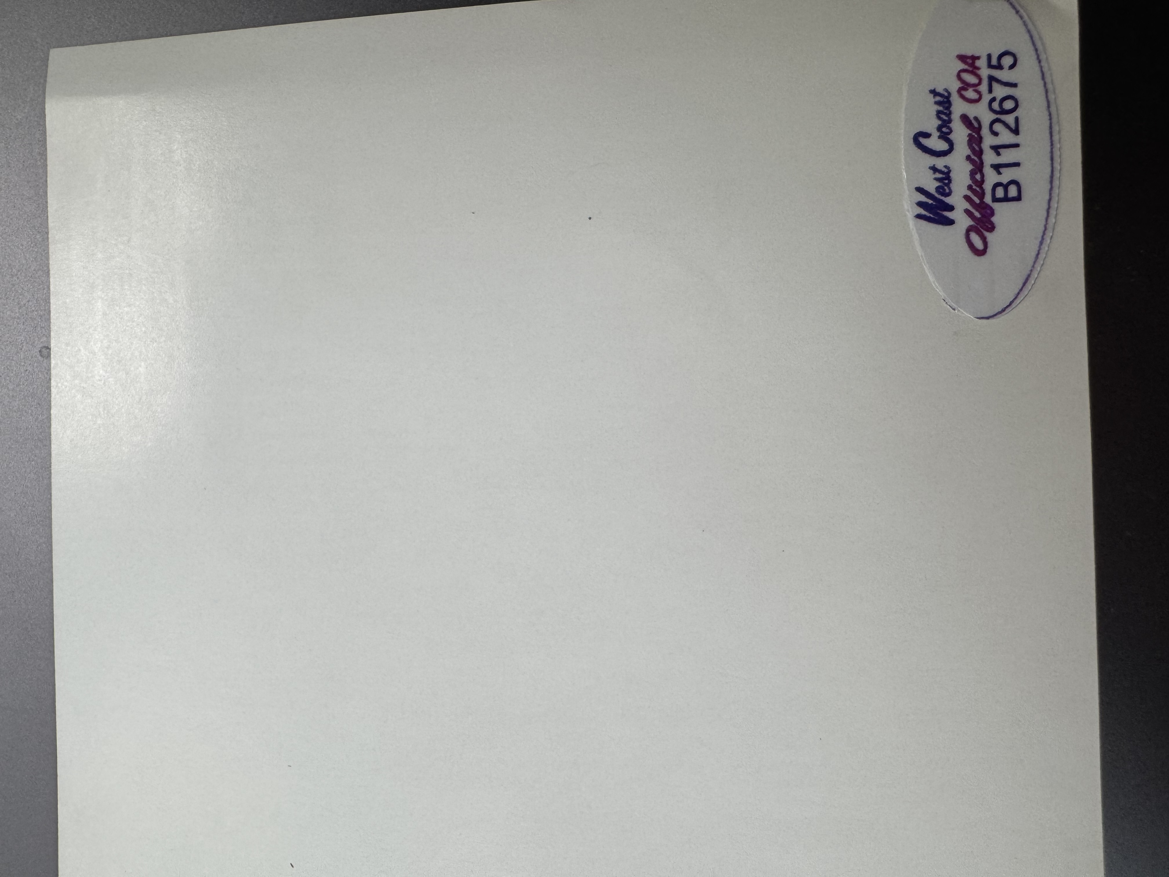 B 112675 Spice Girls too much CD single signed by all five members silver sharpie