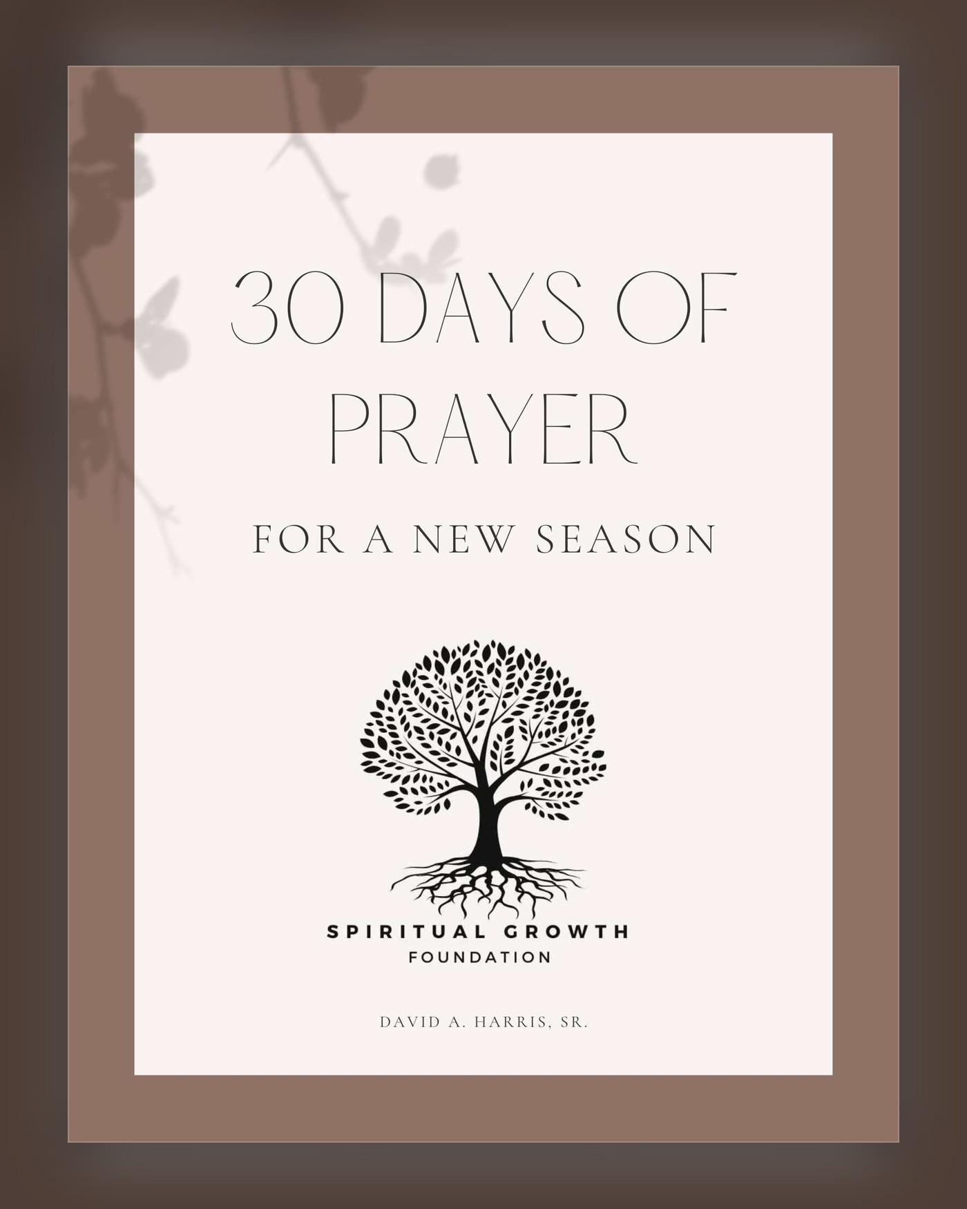 30 Days of Prayer for a New Season