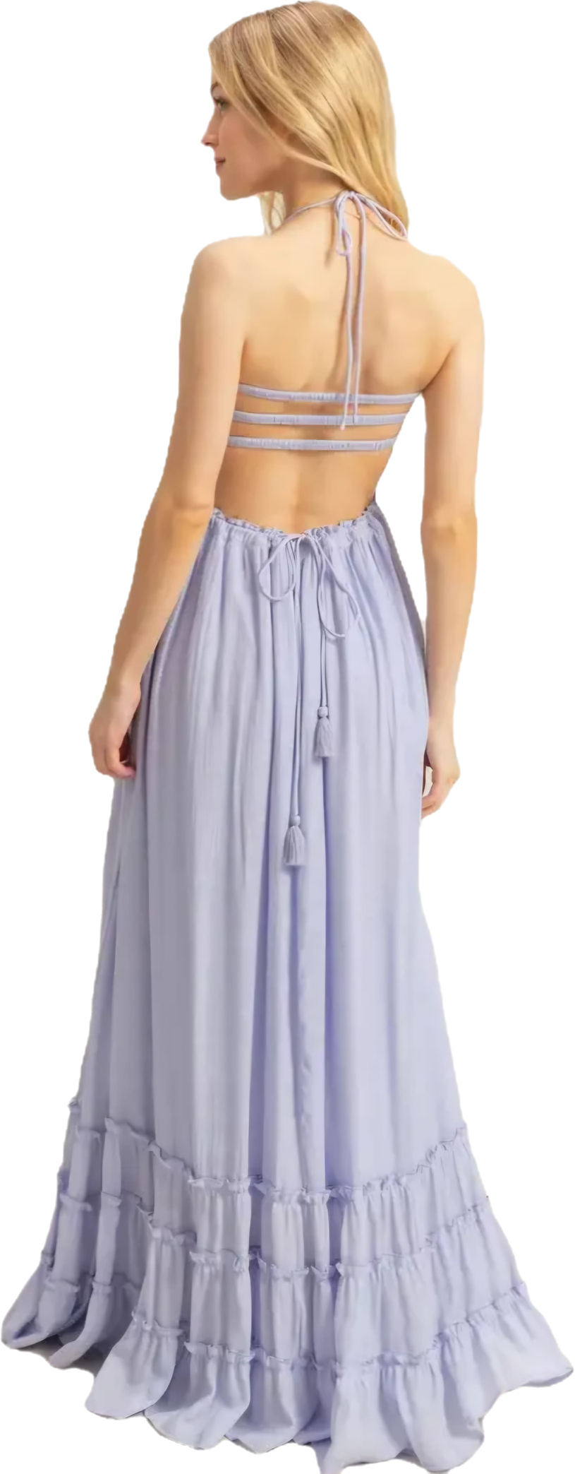 Elegant  Maxi Dress