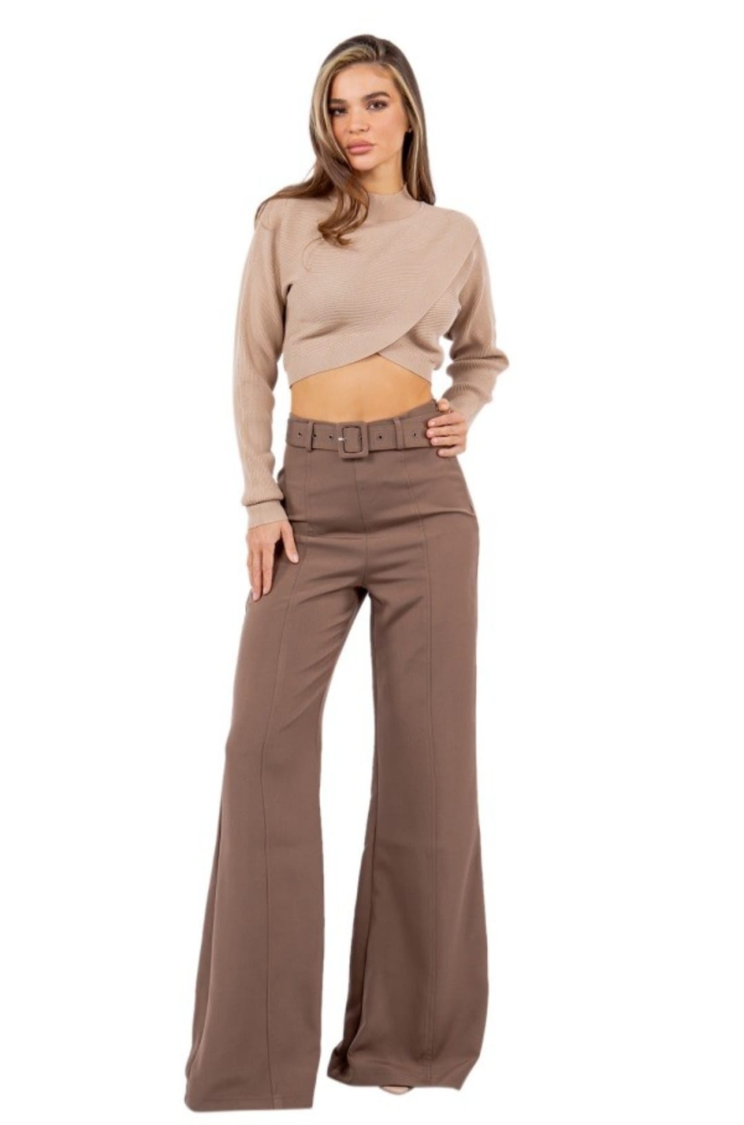 Black or Brown High-Waisted Wide Leg Pants