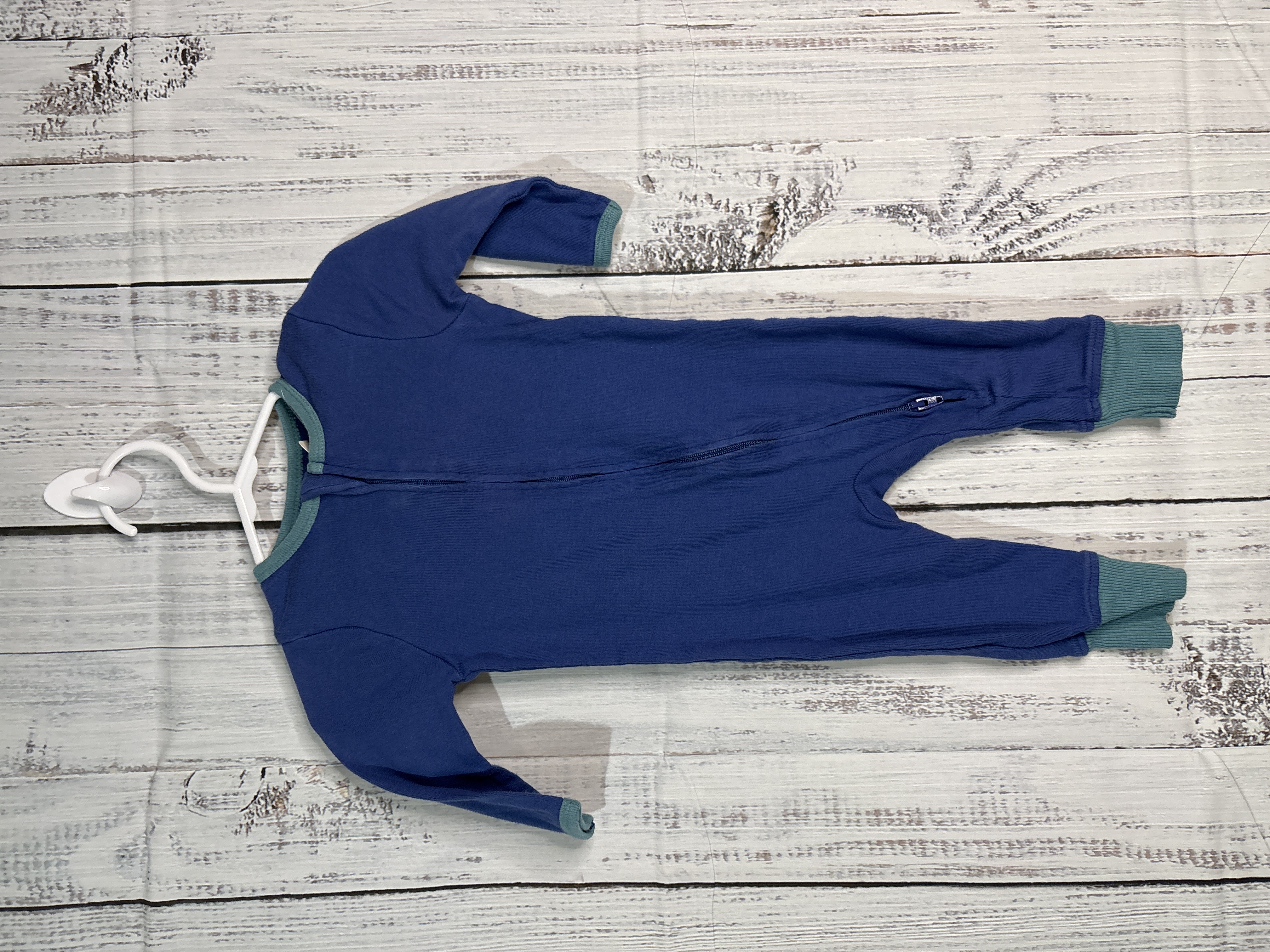 Blue Sleeper 