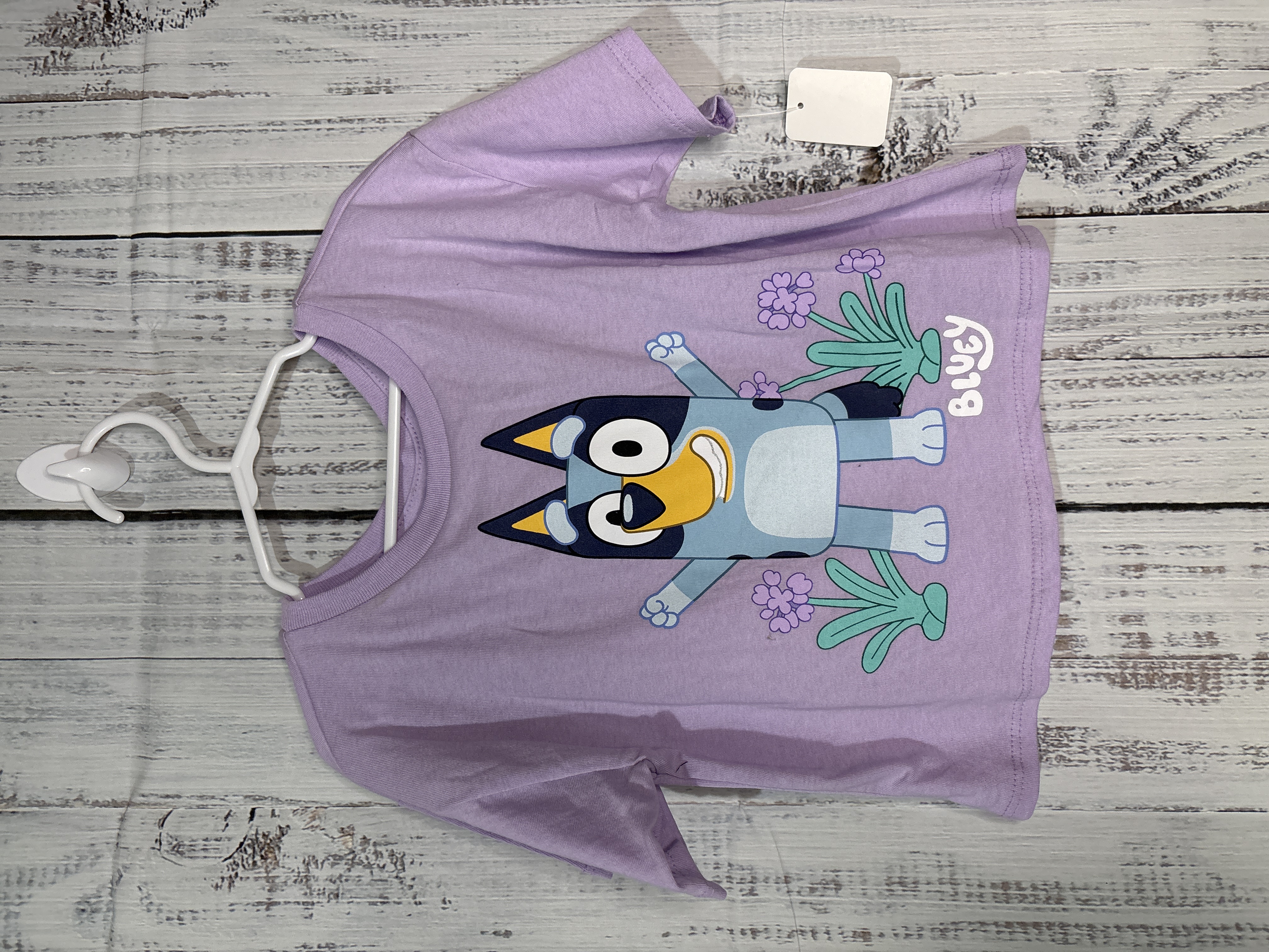 Bluey Shirt 