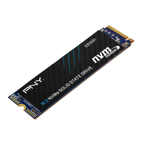 PNY | CS1031 