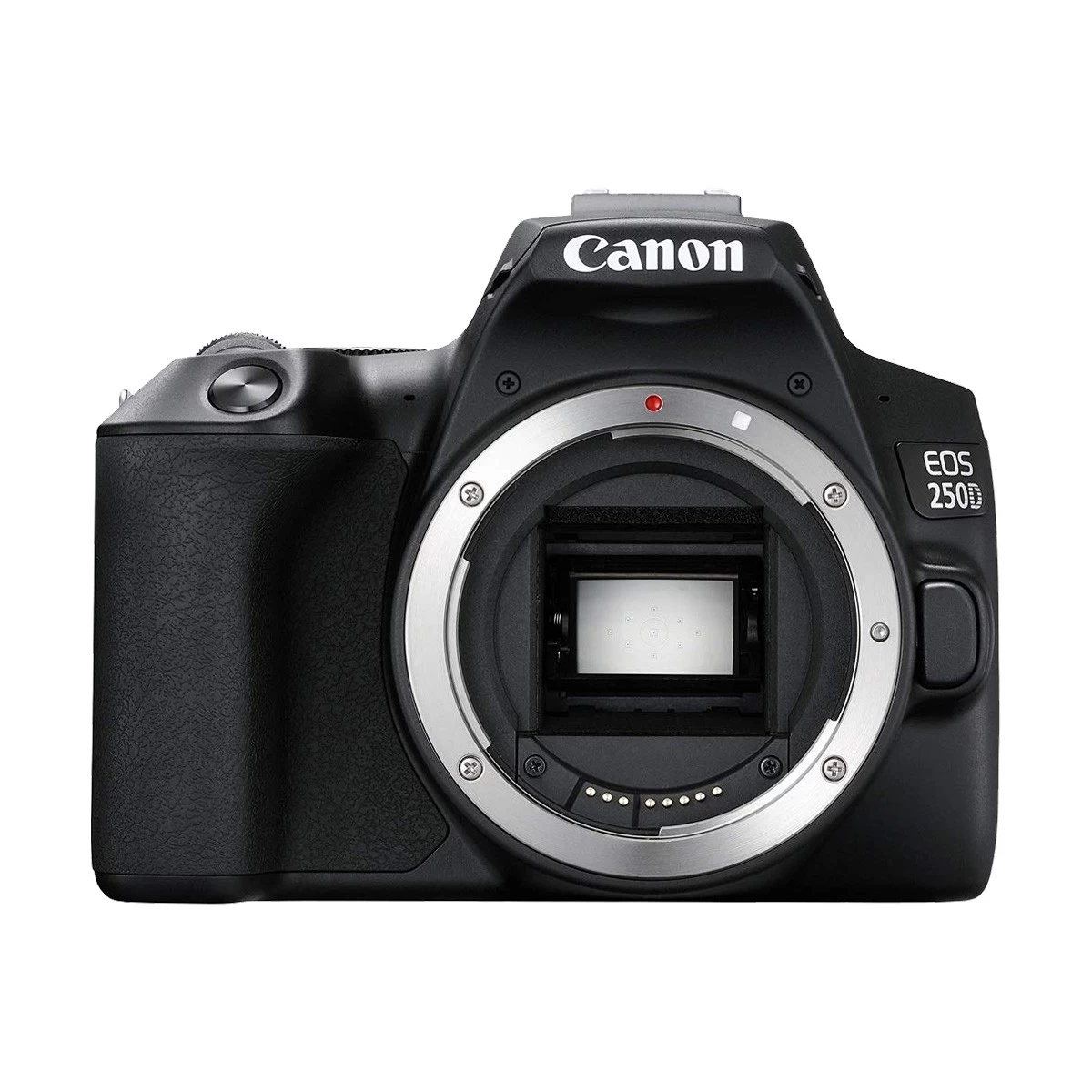 Canon EOS 250D Digital SLR Camera (Black) (No Warranty)