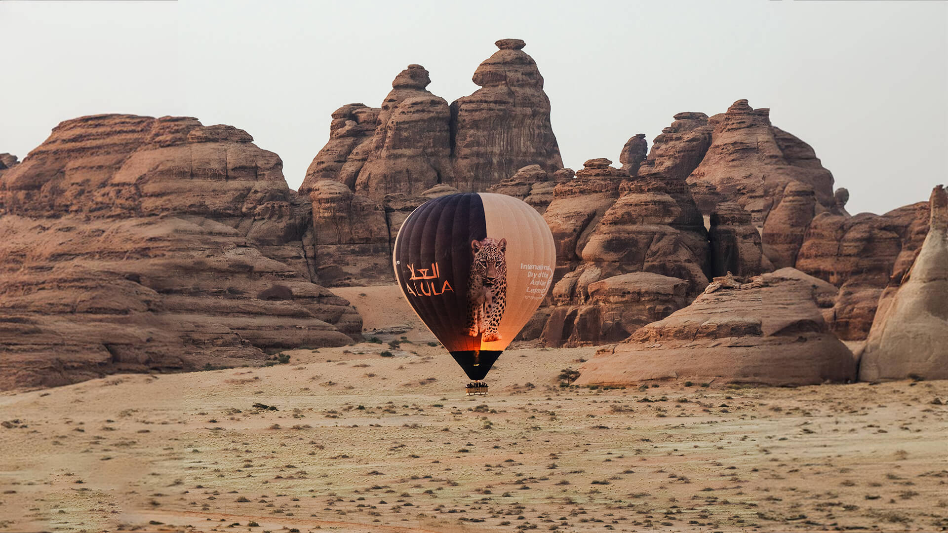 Hot air balloon in AlUla