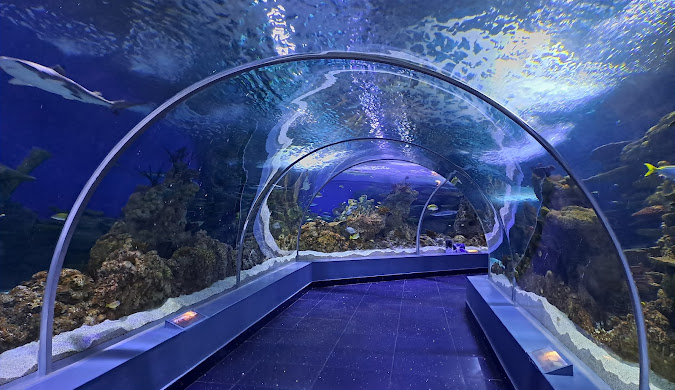 Fakieh Aquarium