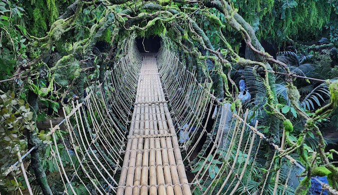 Tropical Land