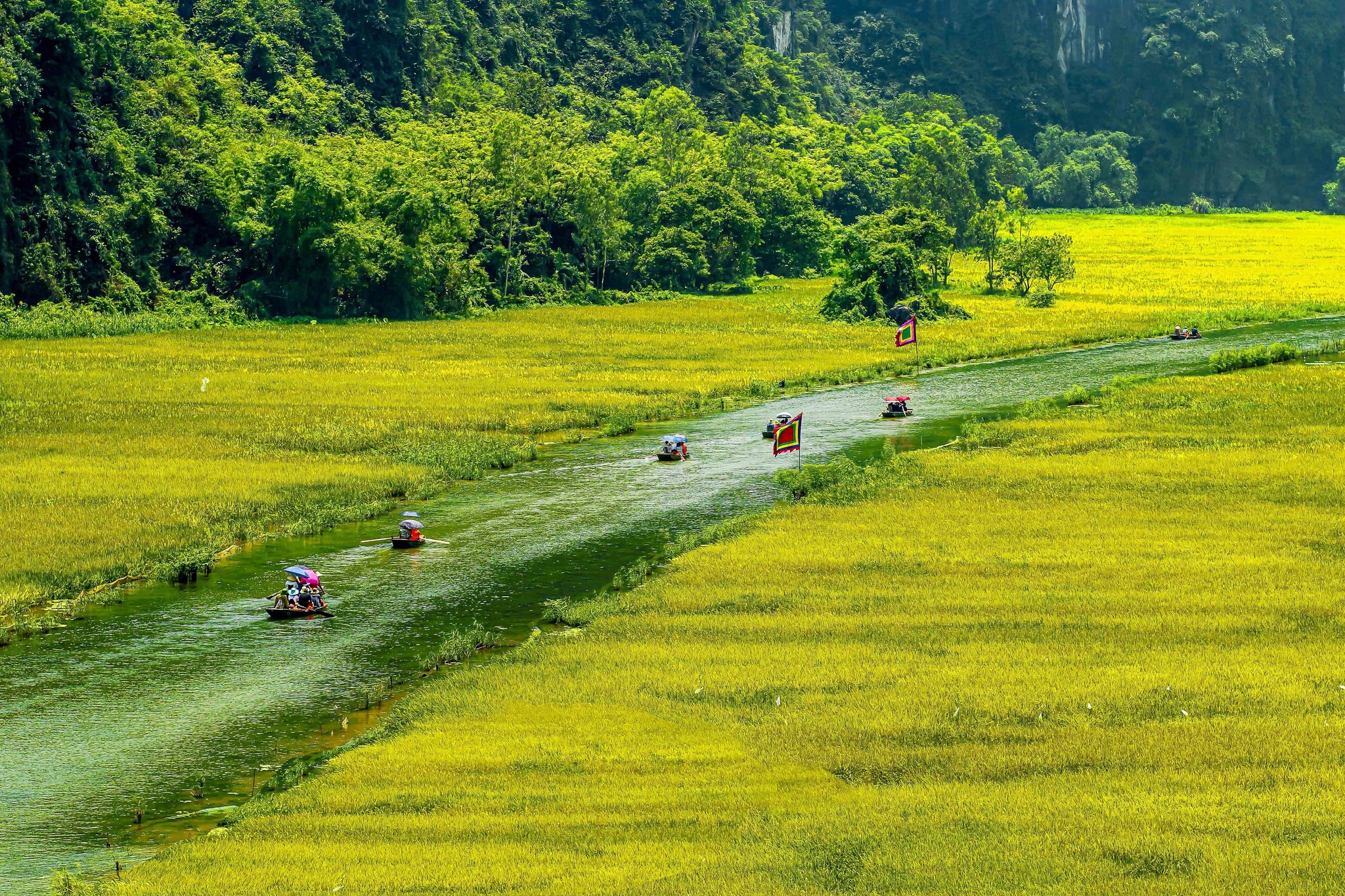 Hoa Lu - Tam Coc