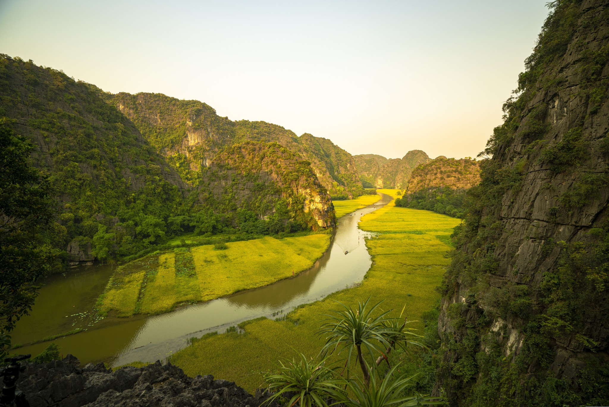 Hoa Lu - Tam Coc