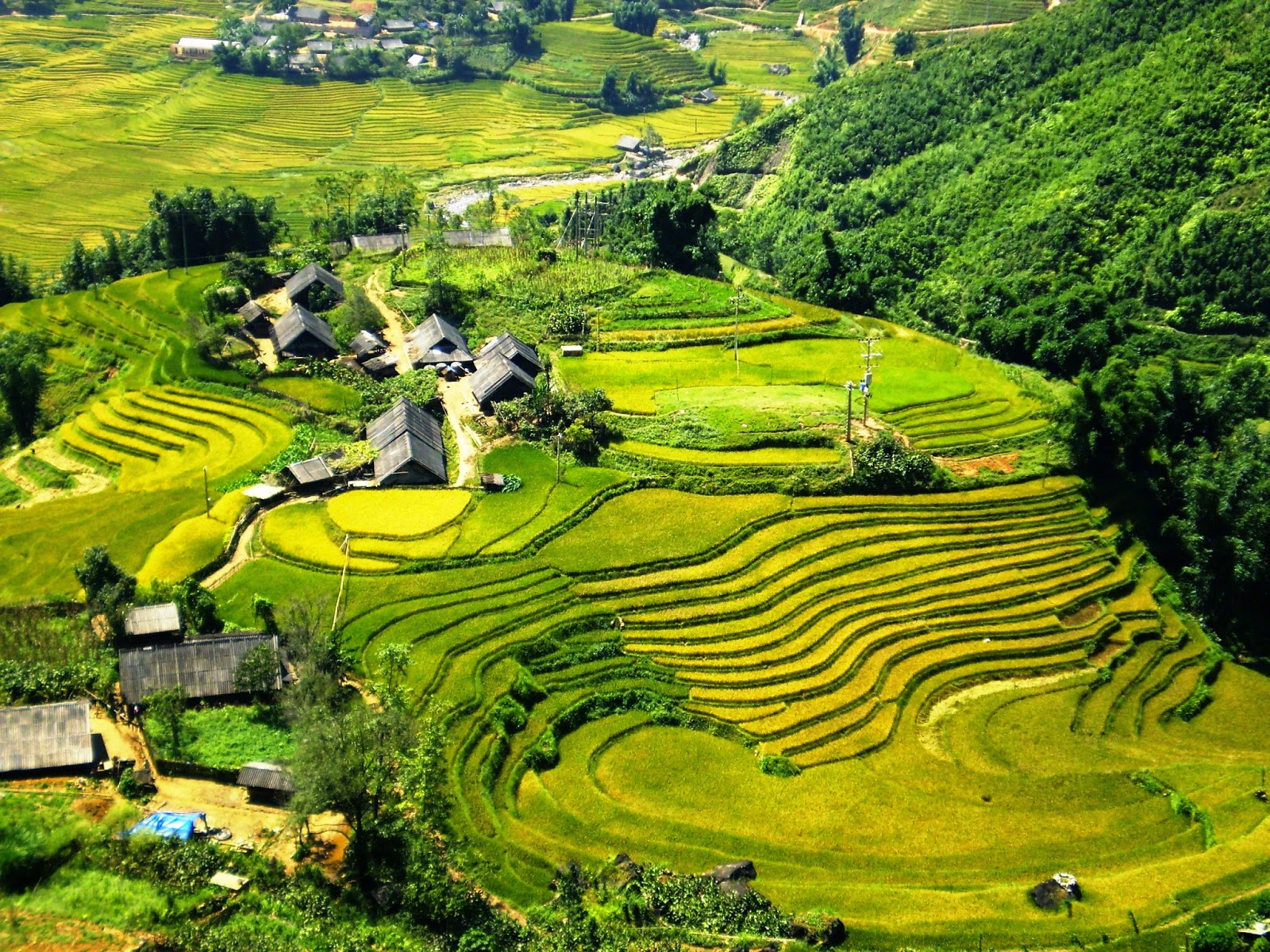Hanoi – Sapa Long Trekking Adventure (3 Days)