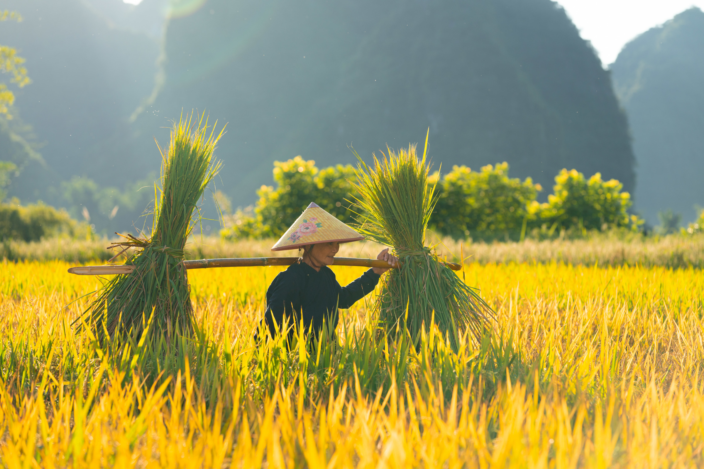 Explore the Wonders of Cao Bang: A 2-Day Adventure