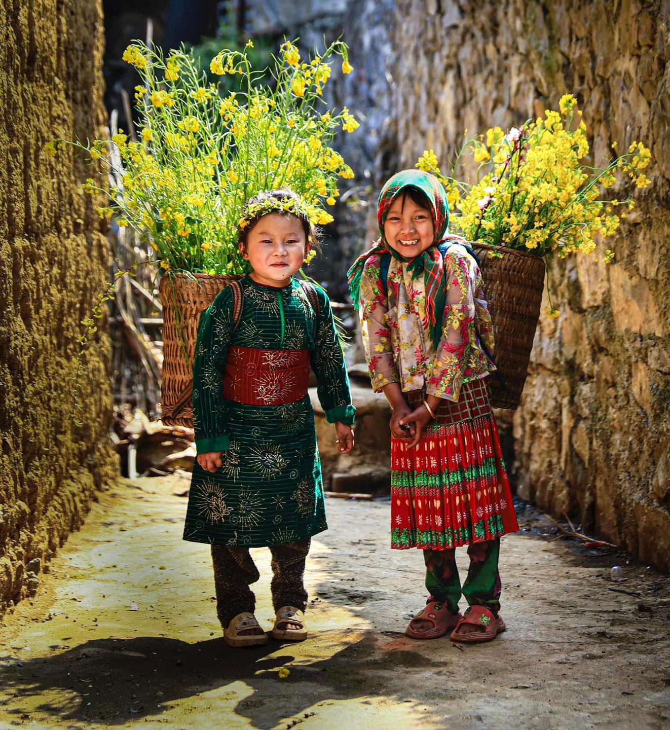 Explore Ha Giang: A 3-Day Adventure Through the Majestic Highlands