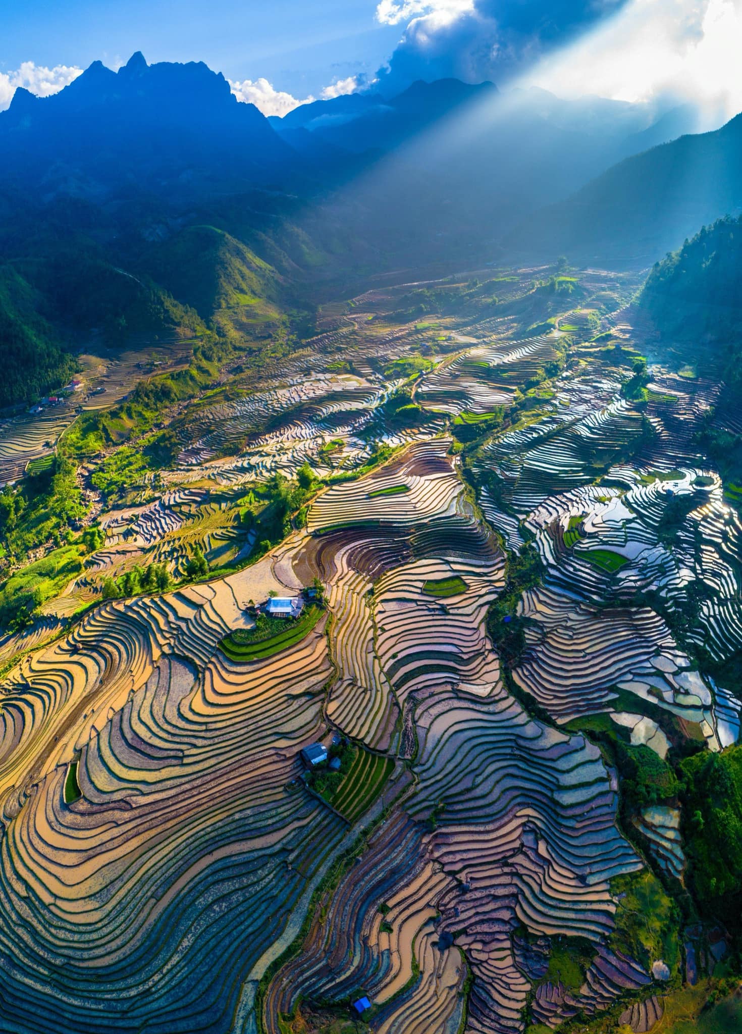 Explore Ha Giang: A 3-Day Adventure Through the Majestic Highlands