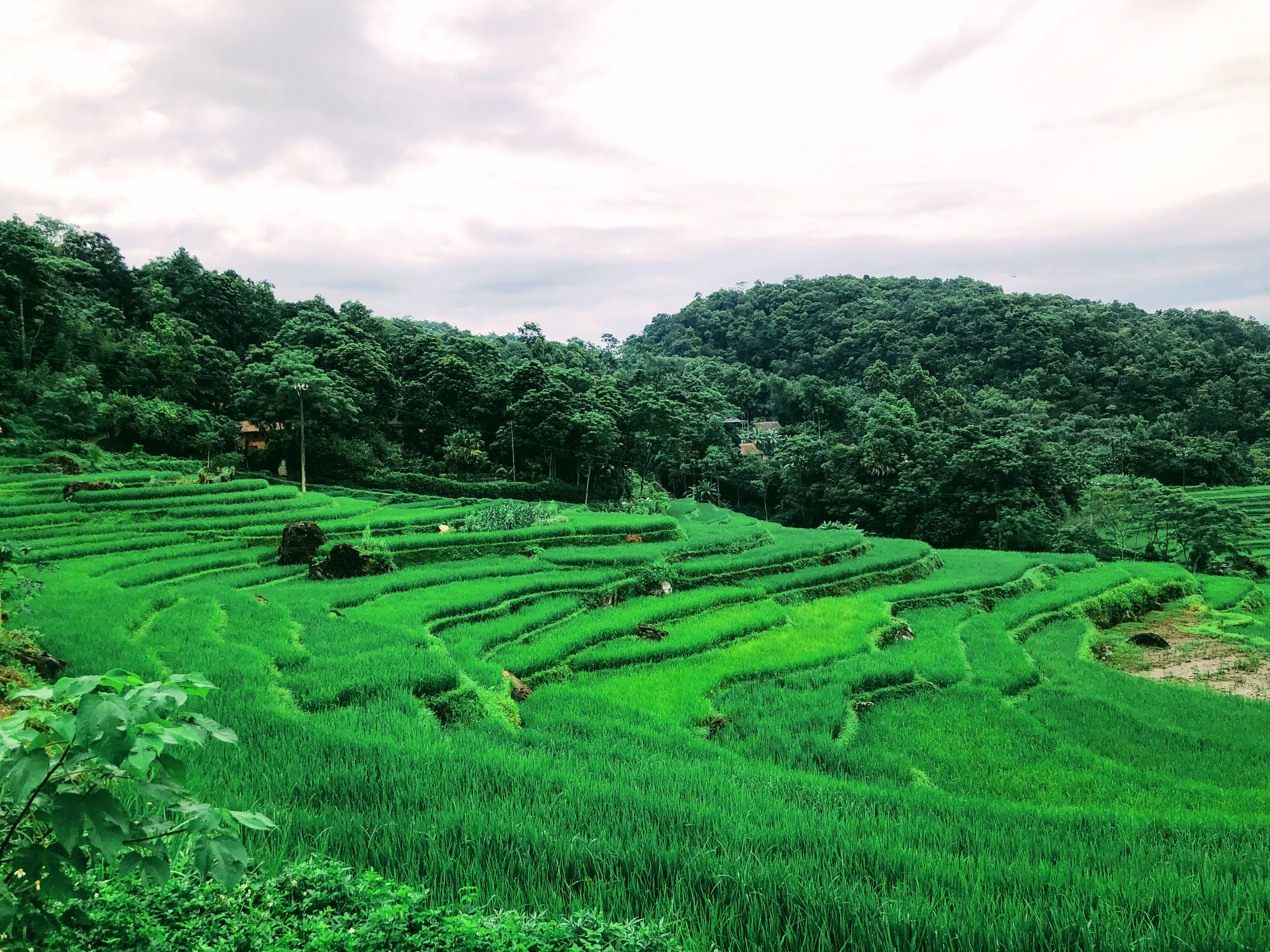 4-Day Hanoi - Mai Chau - Pu Luong - Ninh Binh Tour