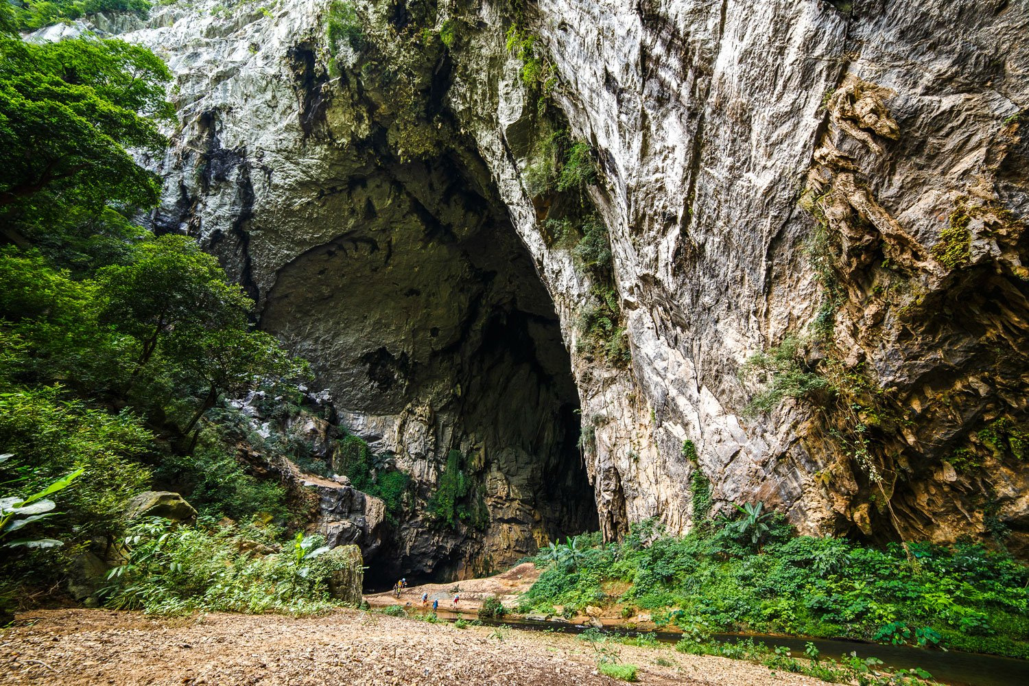 7km Paradise Cave Trek 