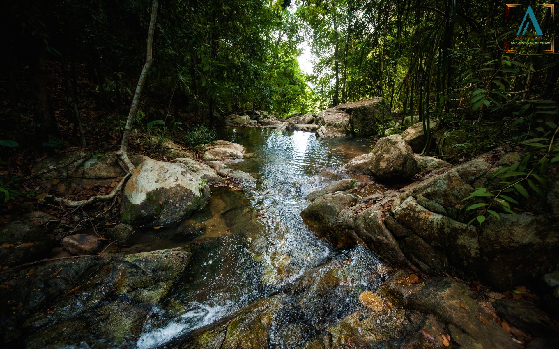 Hải’s Eco Tour 