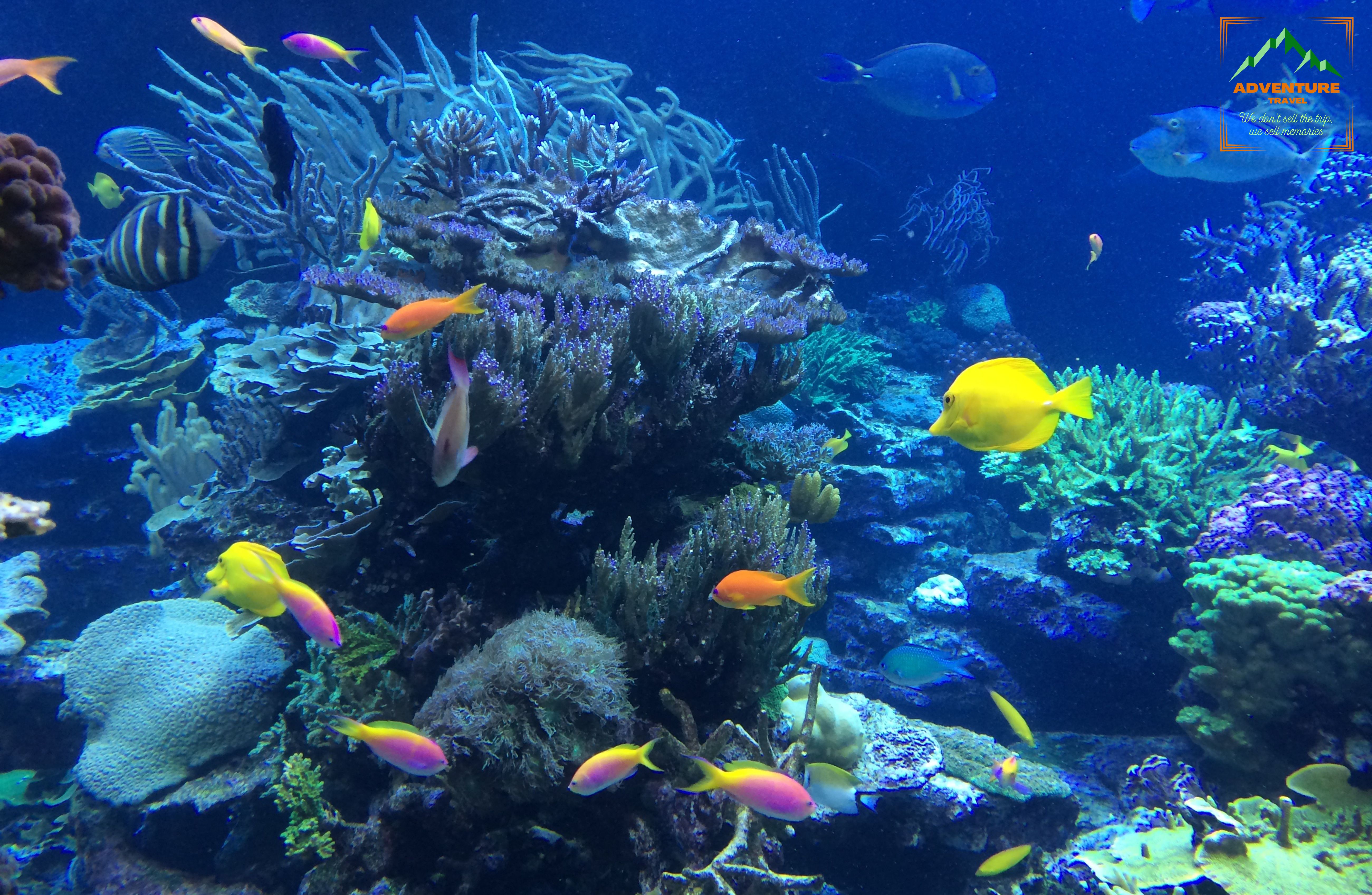 3 Islands Snorkeling Tour