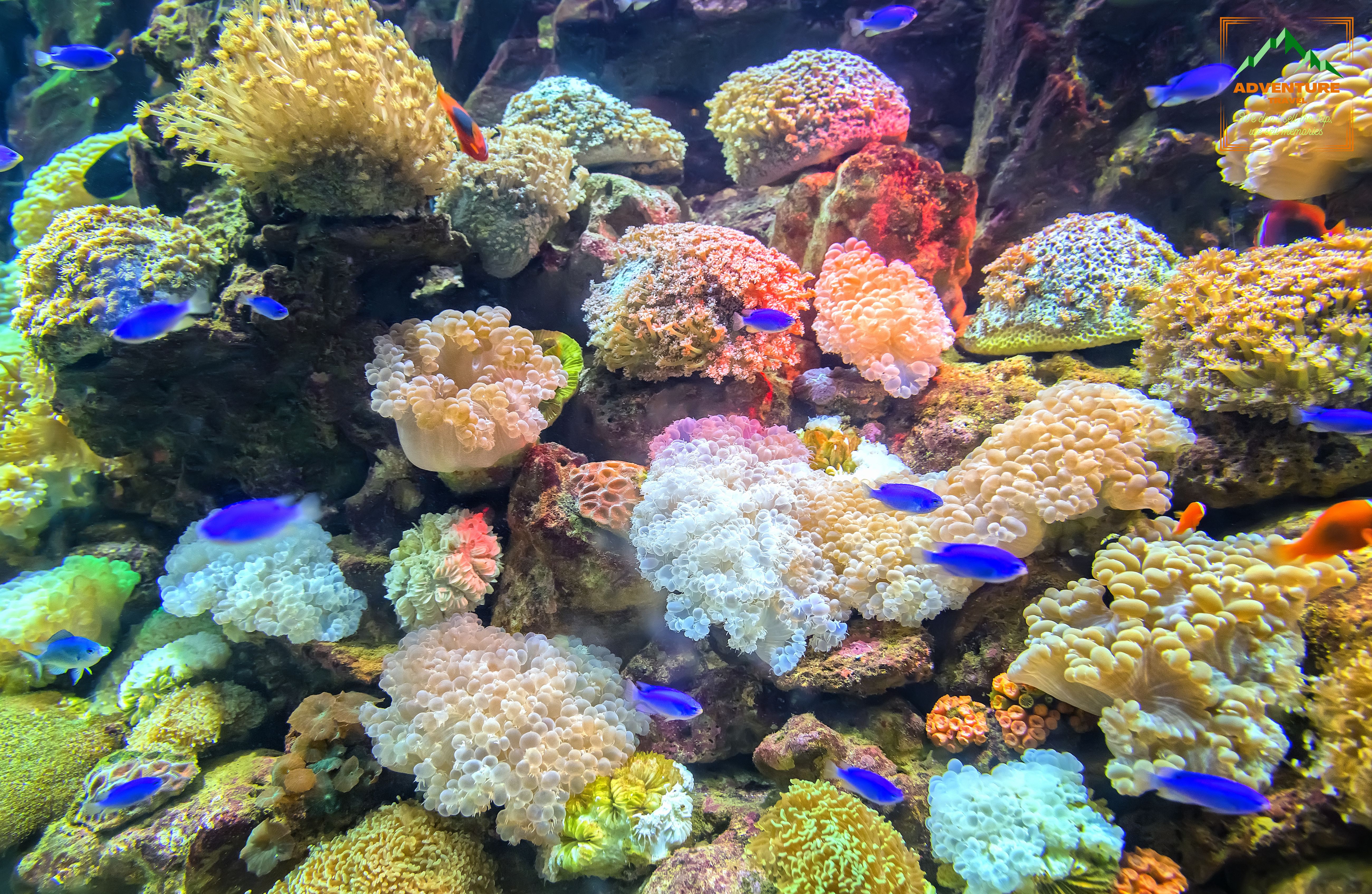 3 Islands Snorkeling Tour 