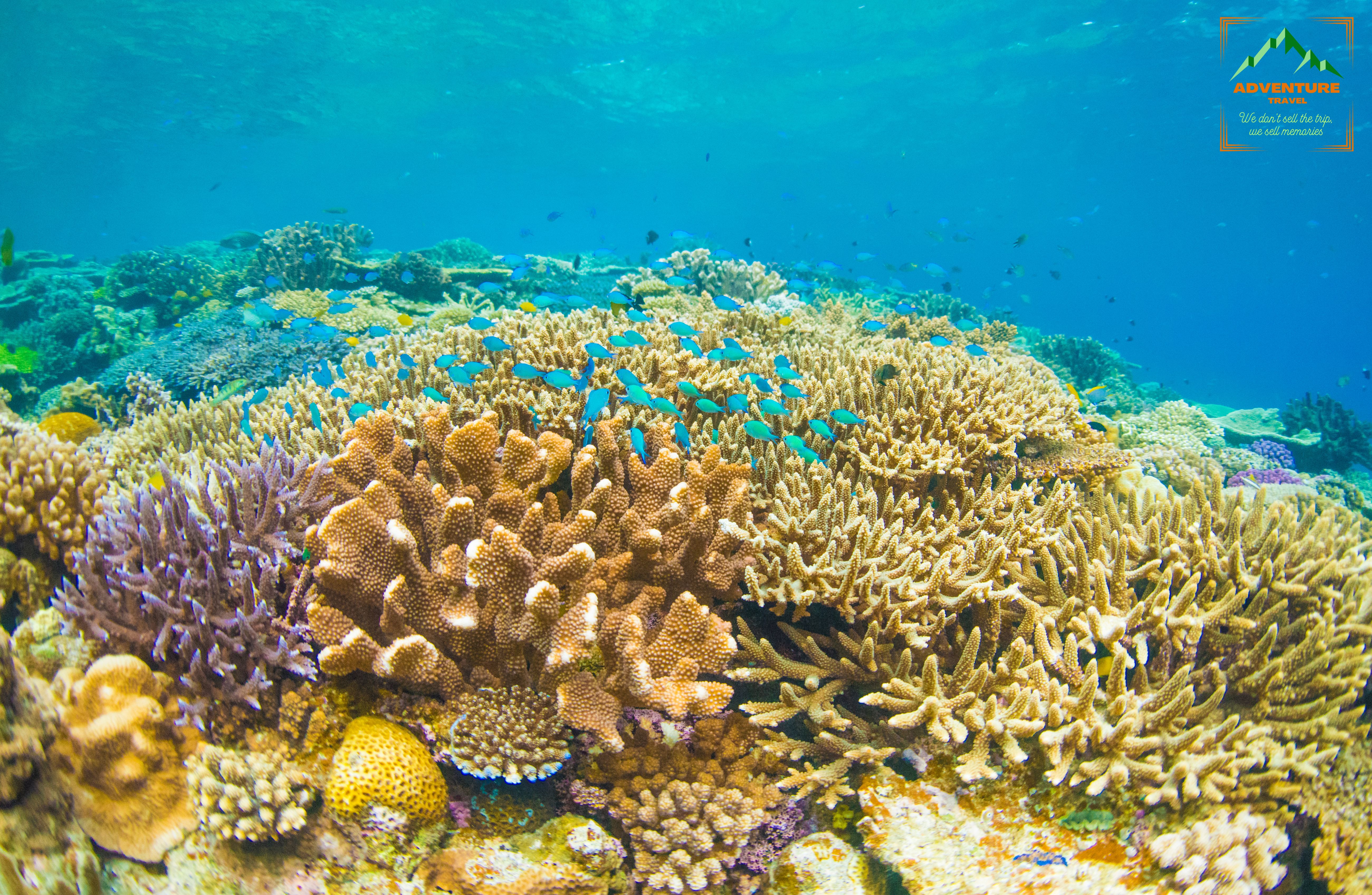 3 Islands Snorkeling Tour 