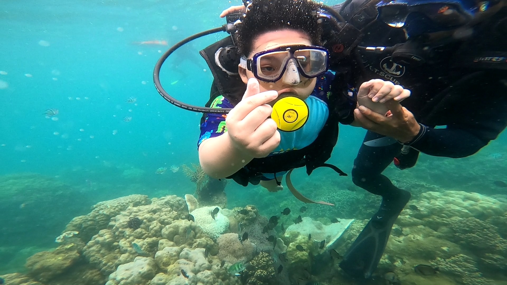 Scuba diving tour