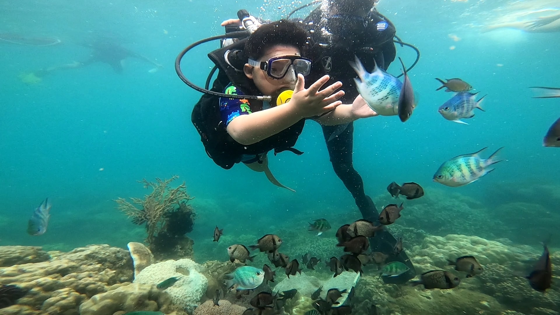 Scuba diving tour 