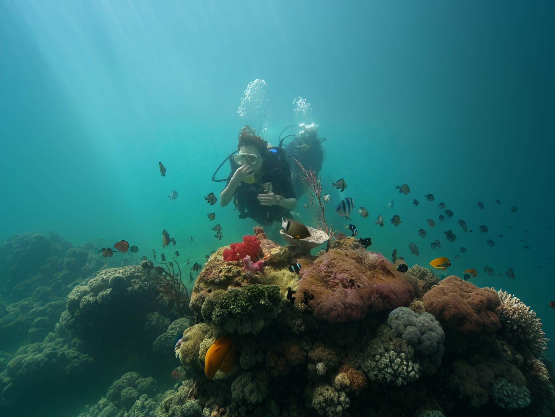 Scuba diving tour 