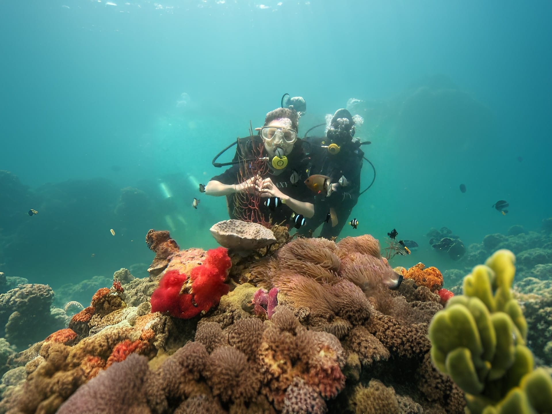 Scuba diving tour 