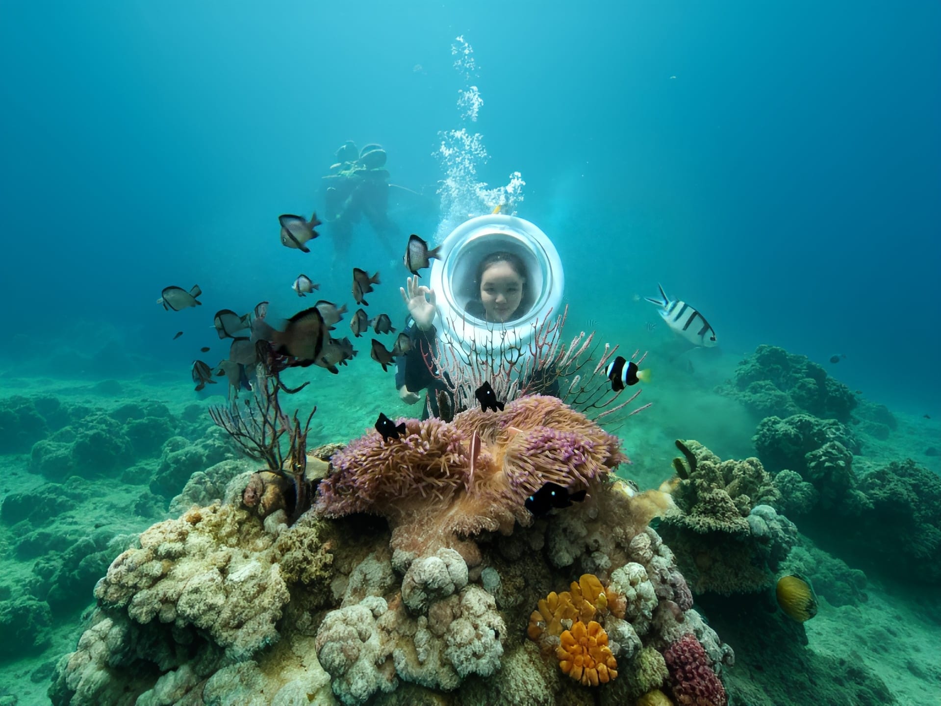 Sea Walking Tour