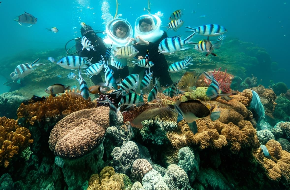 Sea Walking Tour 