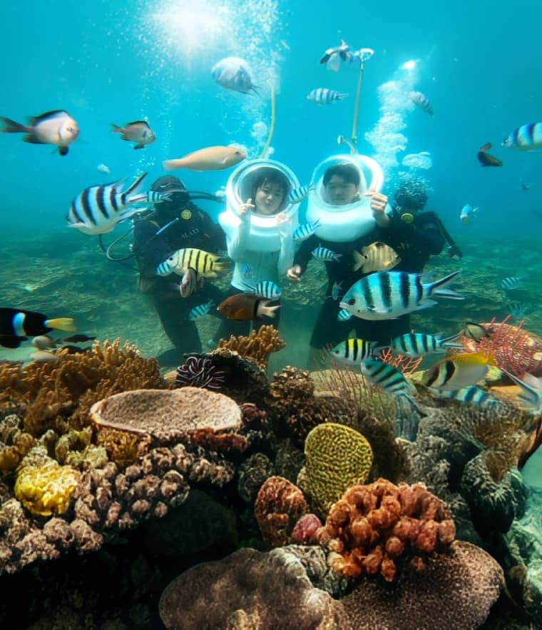 Sea Walking Tour 