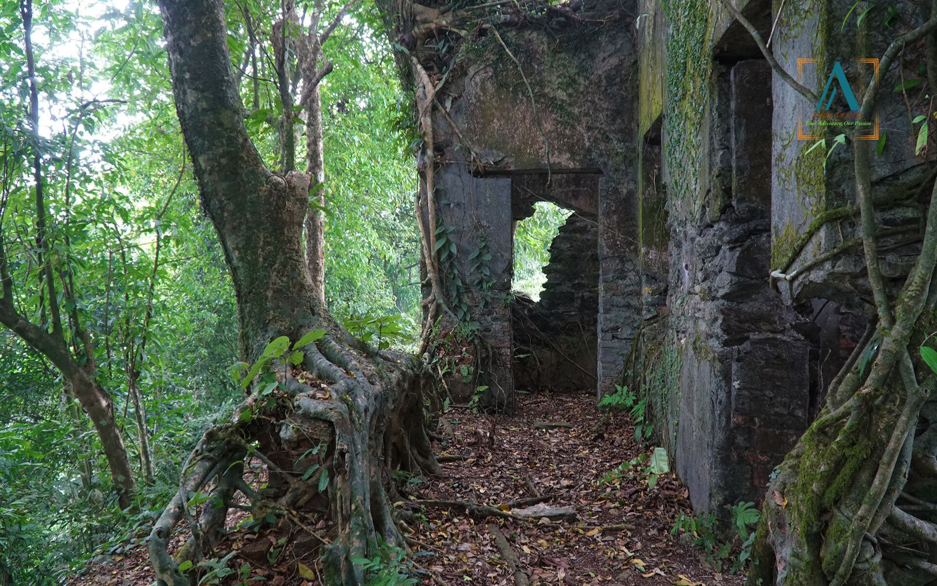 Ba Vi National Park from Hanoi