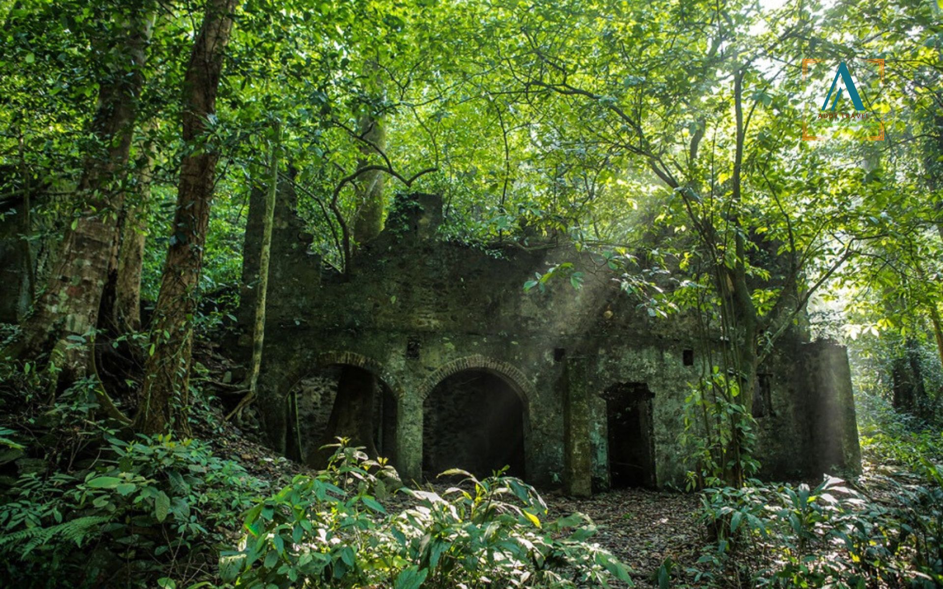 Ba Vi National Park from Hanoi