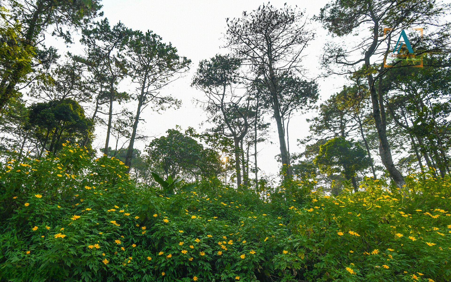 Ba Vi National Park from Hanoi