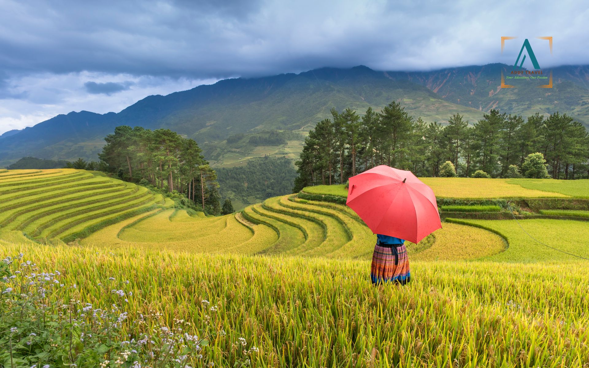 Half-Day Trip: Sapa to Ta Phin Village with Red Dao Herbal Bath