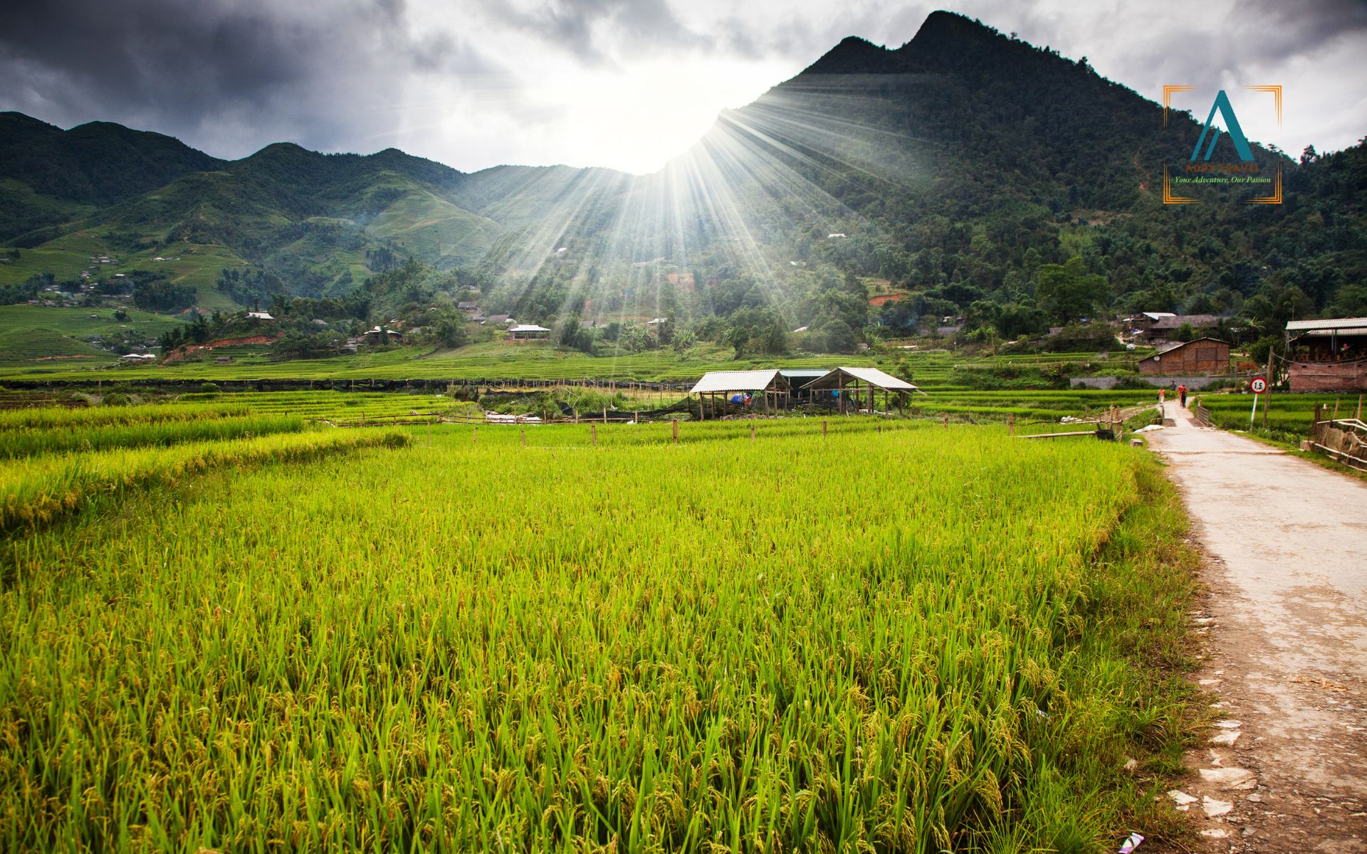 Half-Day Trip: Sapa to Ta Phin Village with Red Dao Herbal Bath