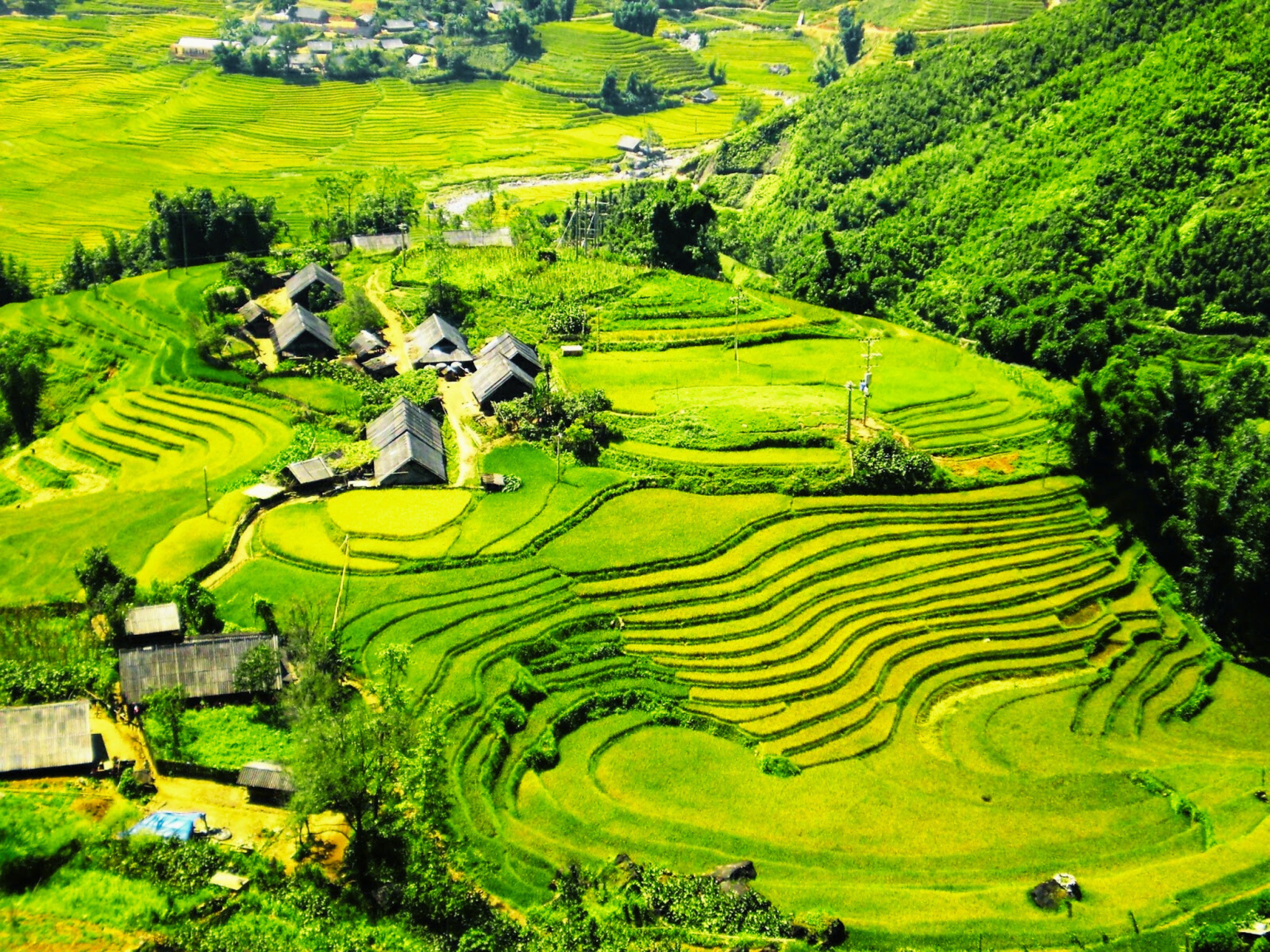 Full-Day Trekking Itinerary: Sapa Town to Y Linh Ho - Lao Chai - Ta Van