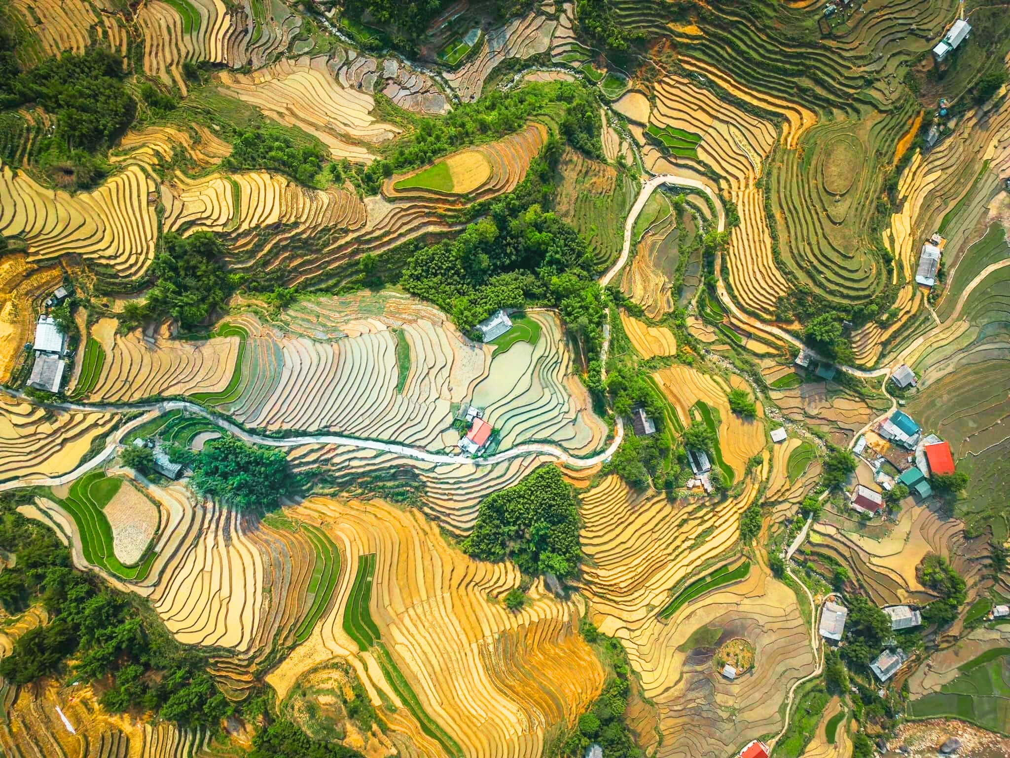 Full-Day Trekking Itinerary: Sapa Town to Y Linh Ho - Lao Chai - Ta Van