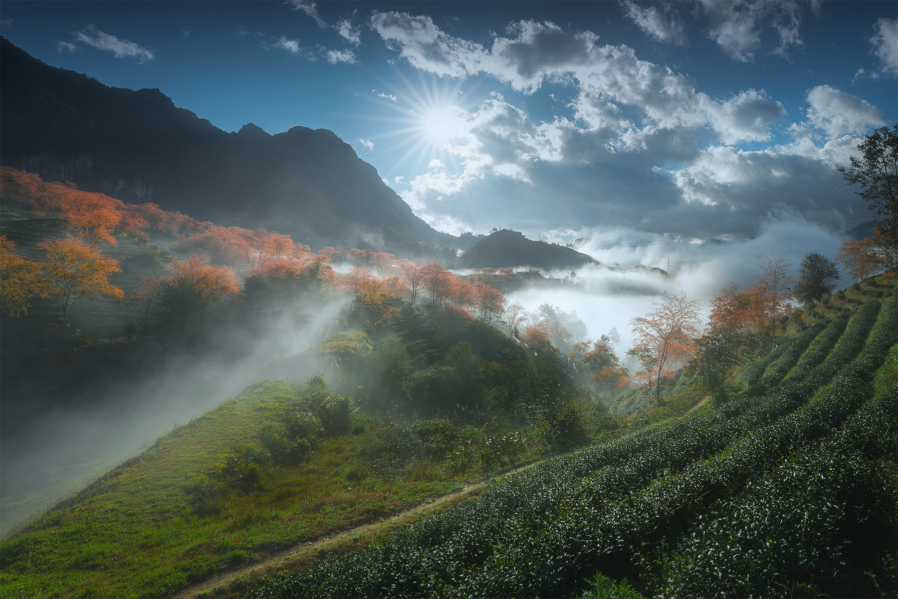 Full-Day Trekking Itinerary: Sapa – Hang Da – Hau Thao – Ancient Stone Site – Giang Ta Chai