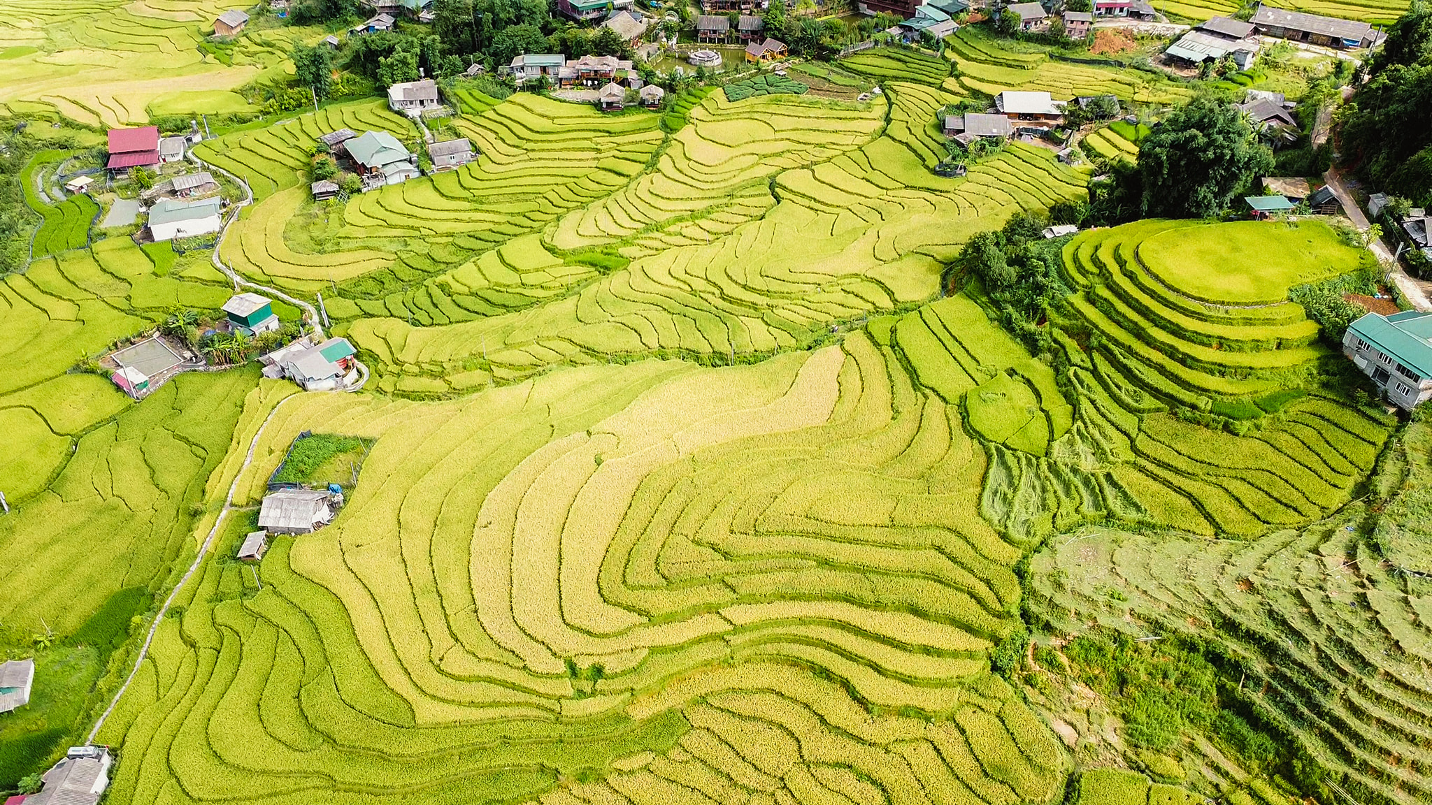 Day Trip from Sapa: Explore Ban Ho - Nam Toong - My Son