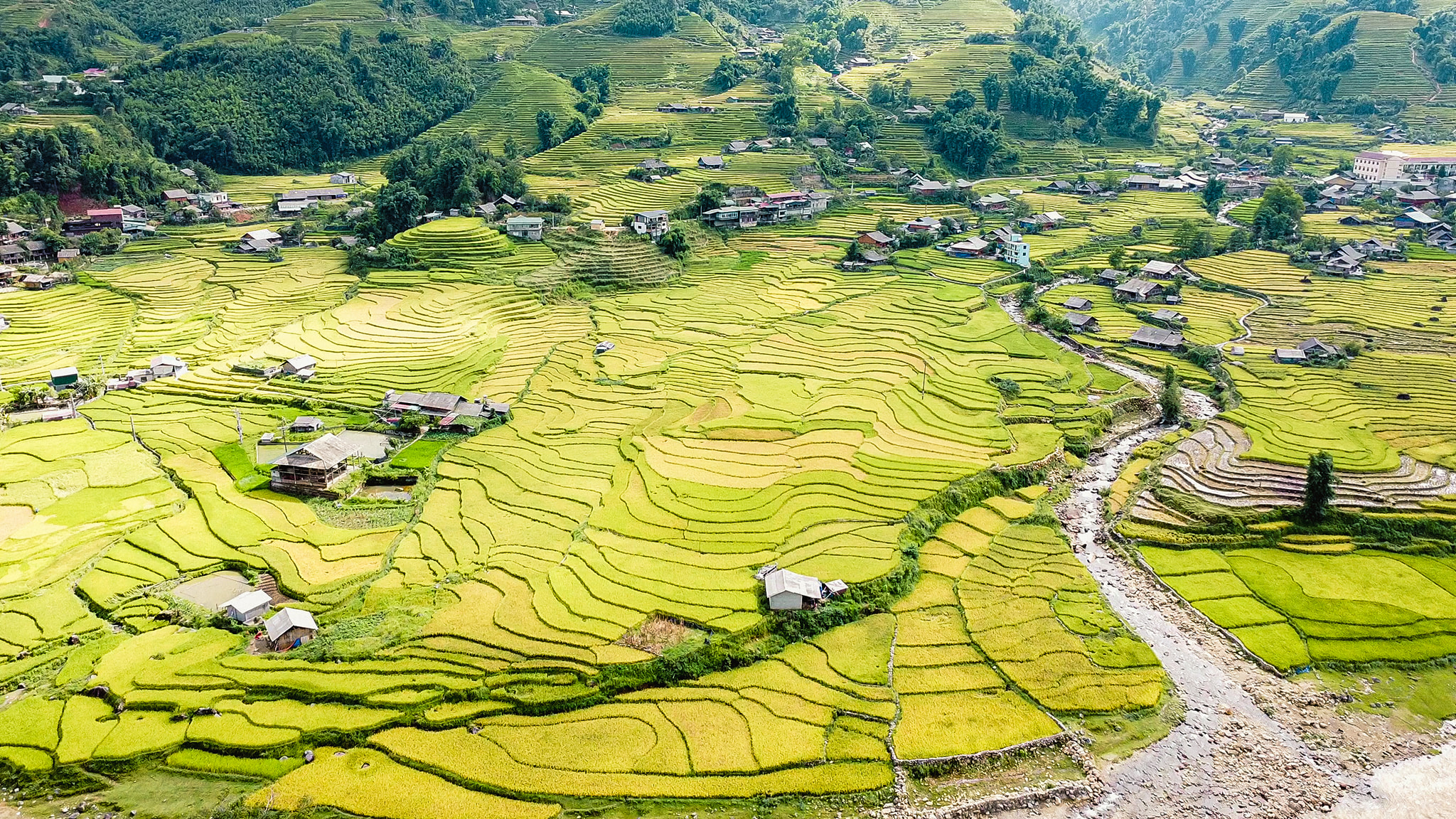 Day Trip from Sapa: Explore Ban Ho - Nam Toong - My Son
