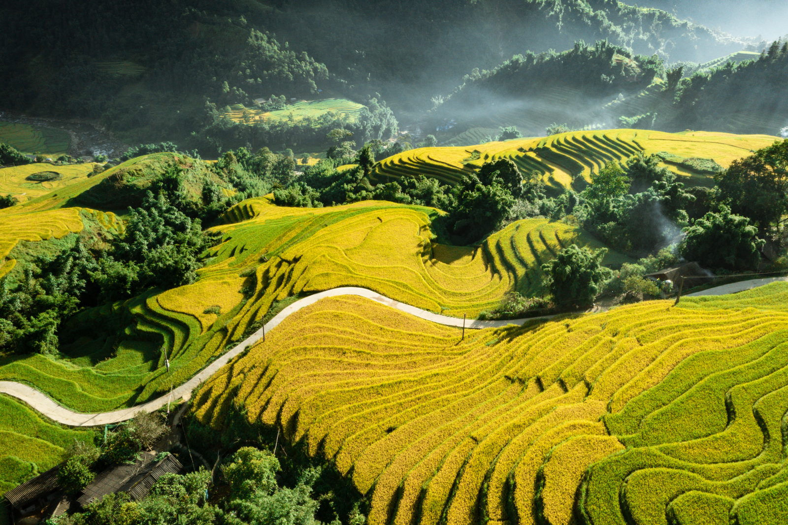 Day Trip from Sapa: Explore Ban Ho - Nam Toong - My Son