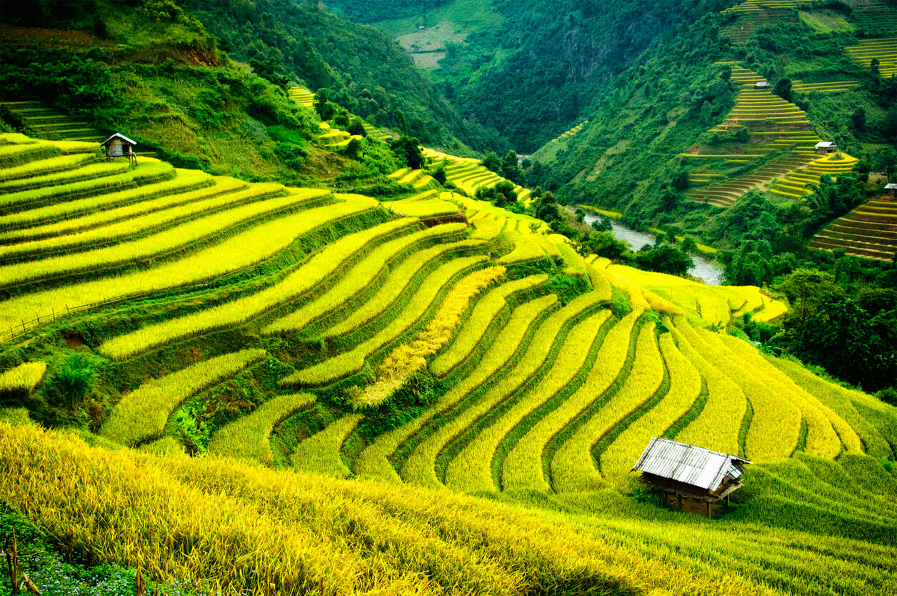 Day Trip from Sapa: Explore Ban Ho - Nam Toong - My Son