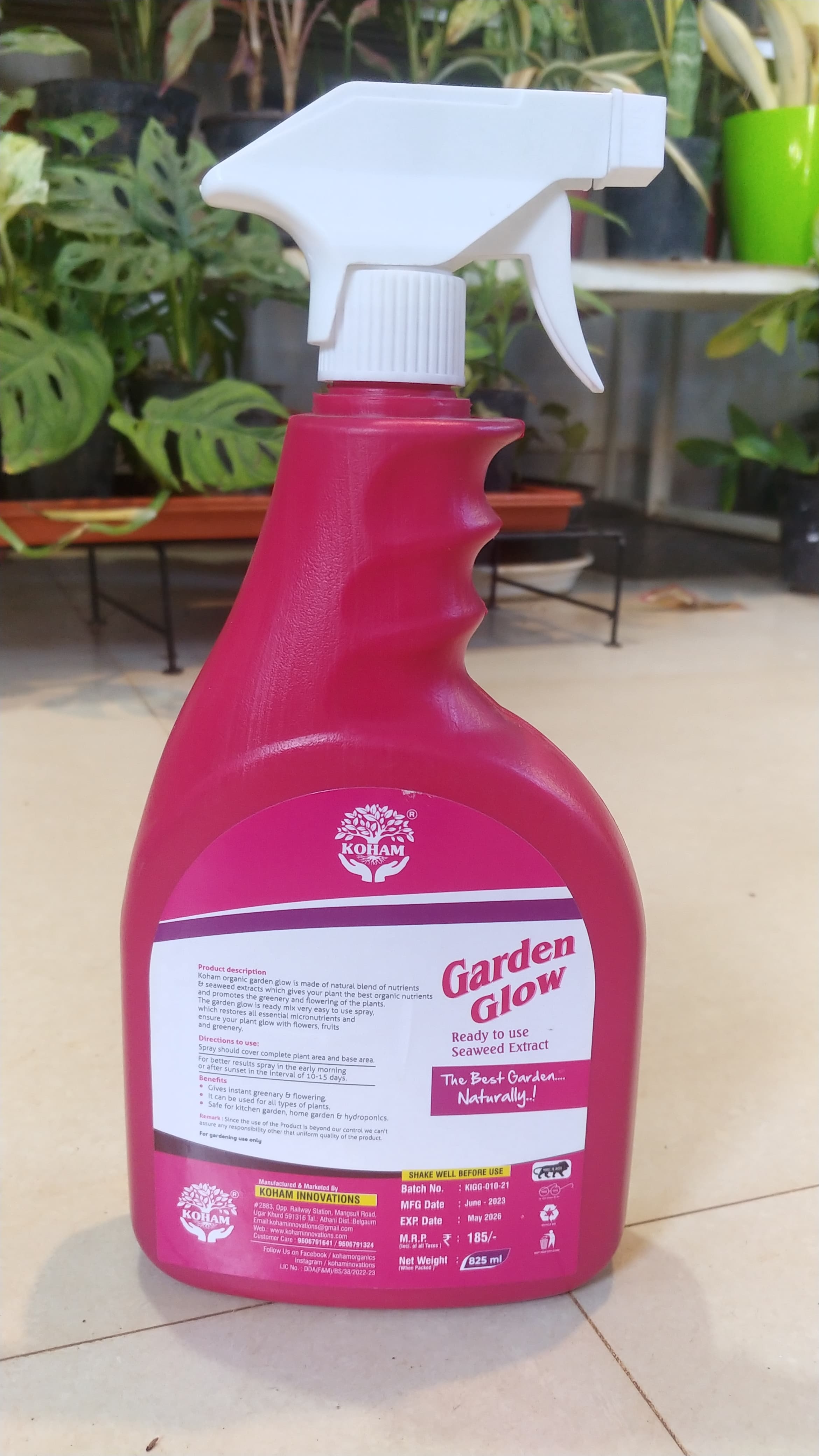 Garden Glow